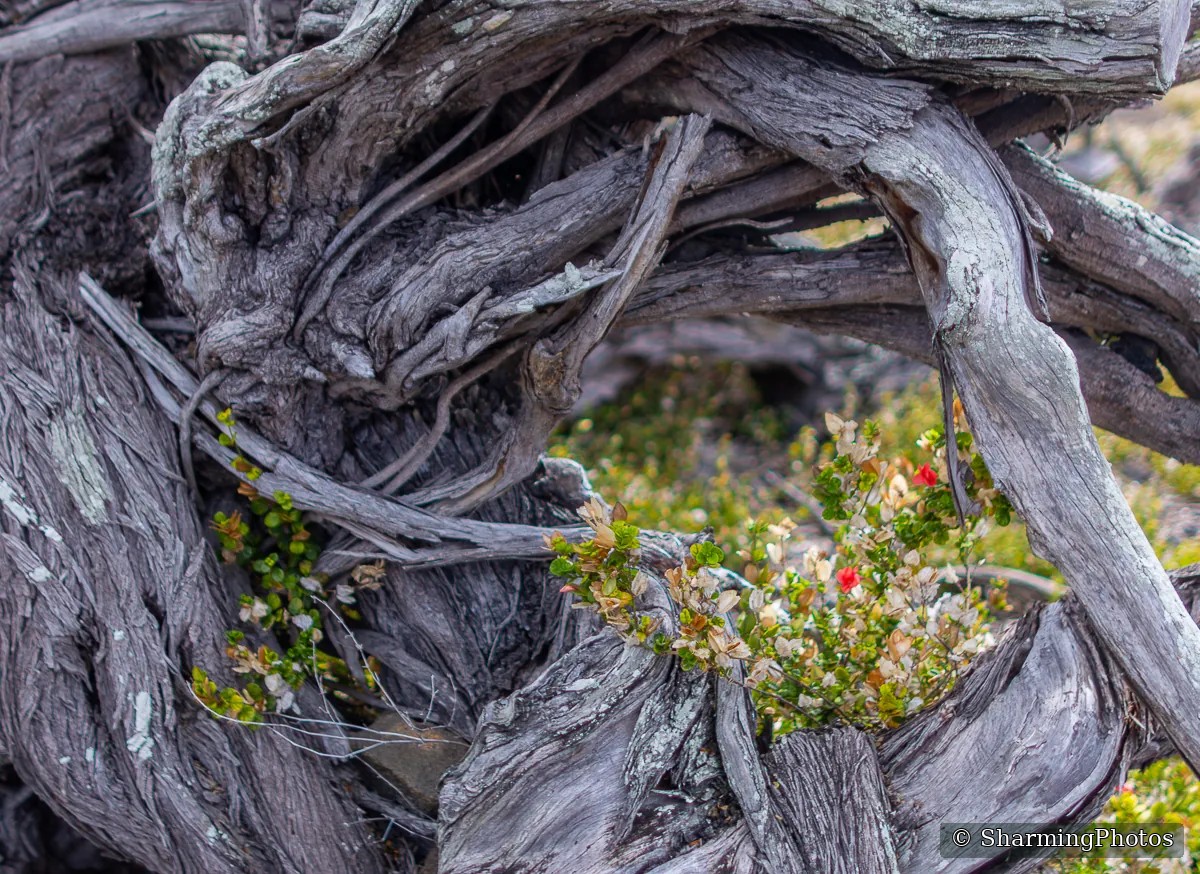 Scenery photograph by Susanne Harm