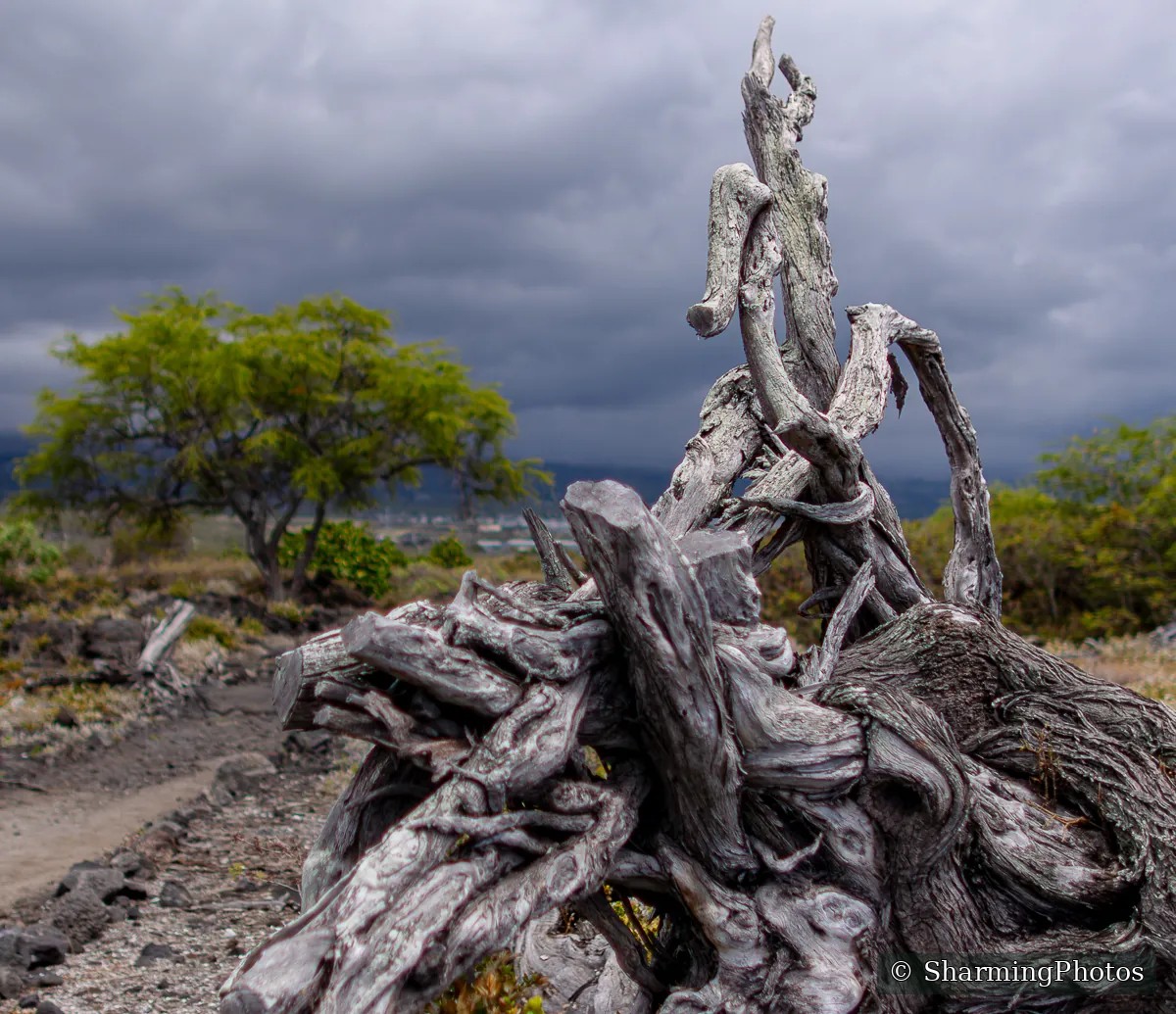 Scenery photograph by Susanne Harm