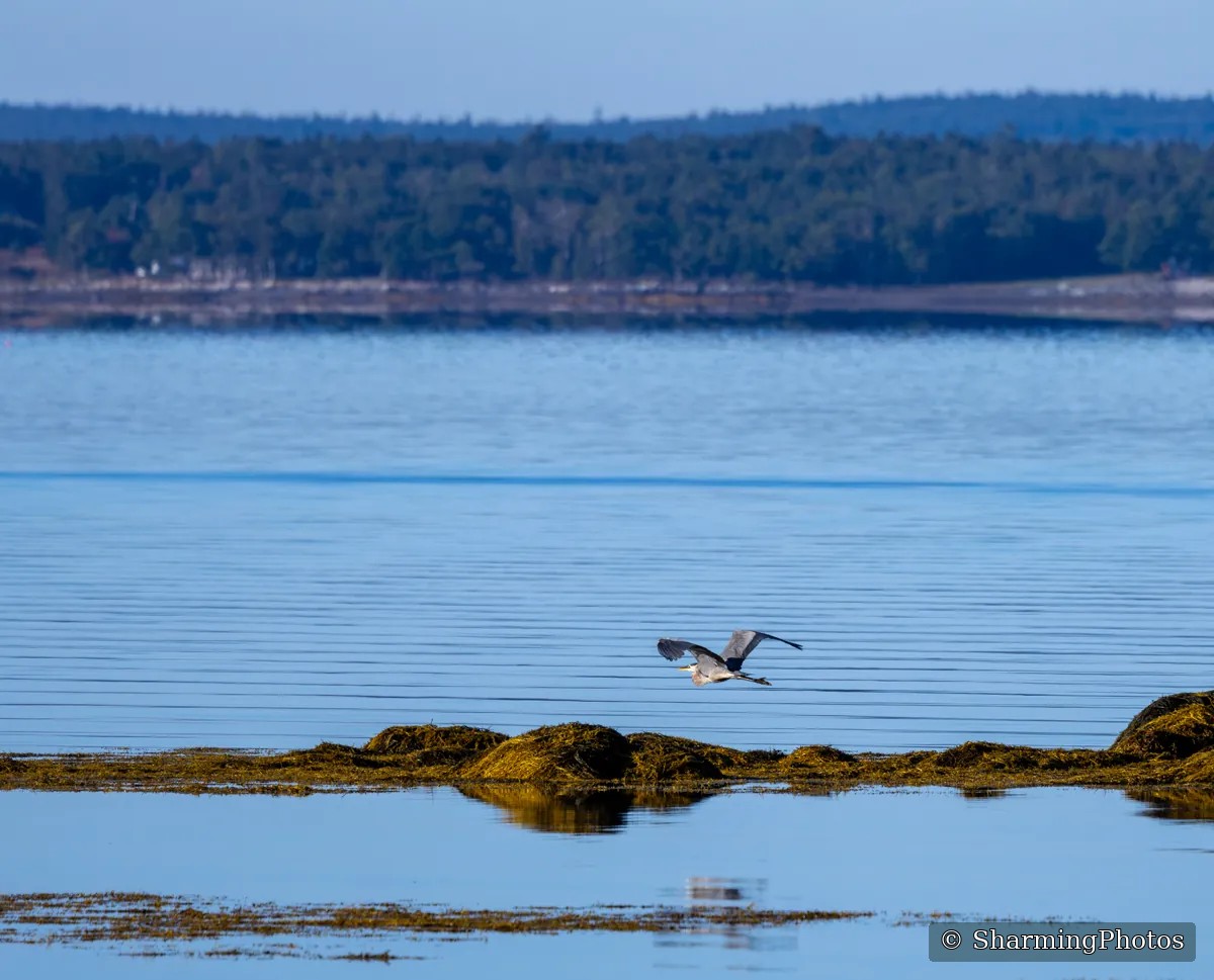 Scenery photograph by Susanne Harm
