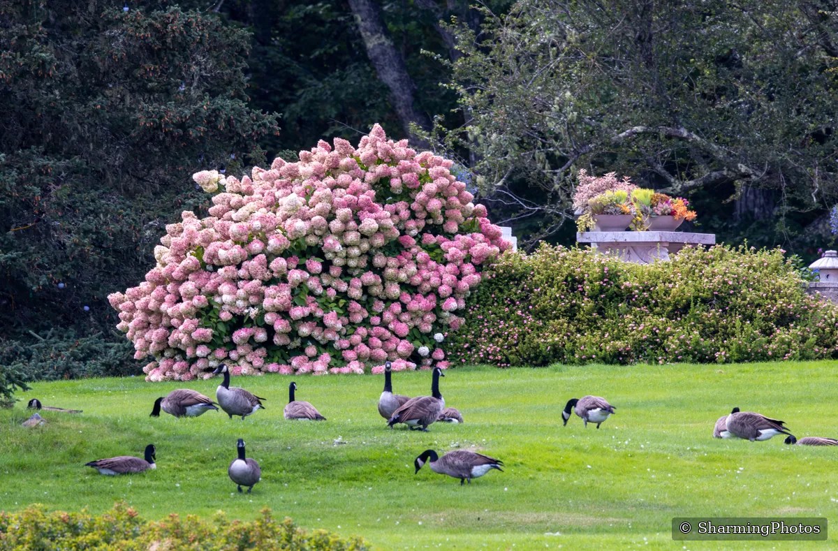 Scenery photograph by Susanne Harm