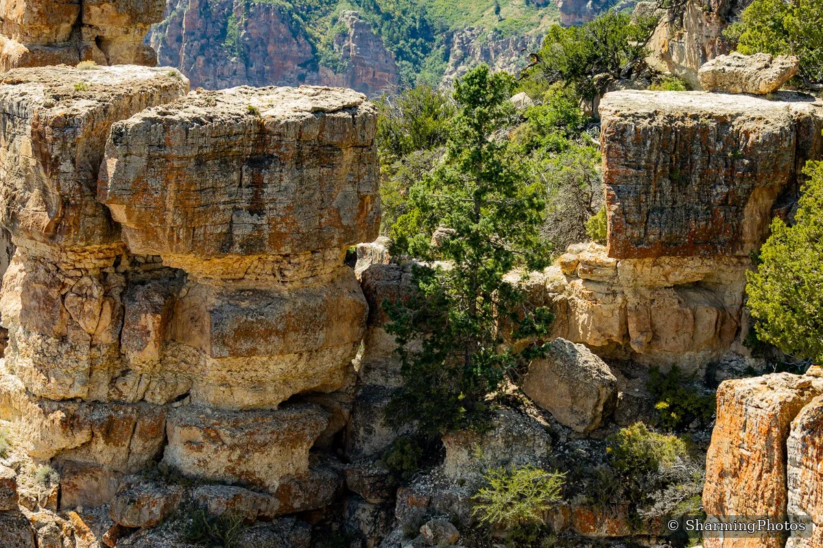Scenery photograph by Susanne Harm