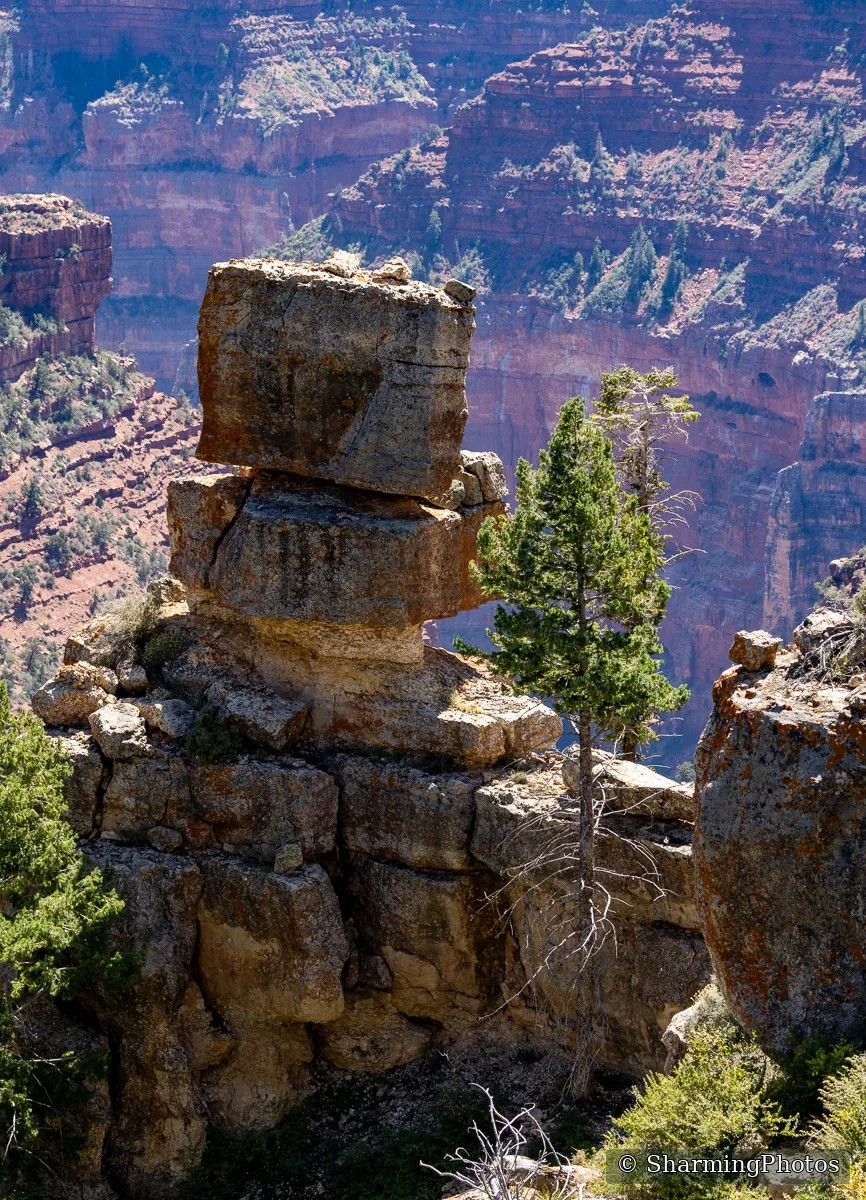 Scenery photograph by Susanne Harm