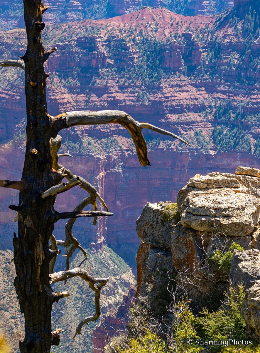 Scenery photograph by Susanne Harm