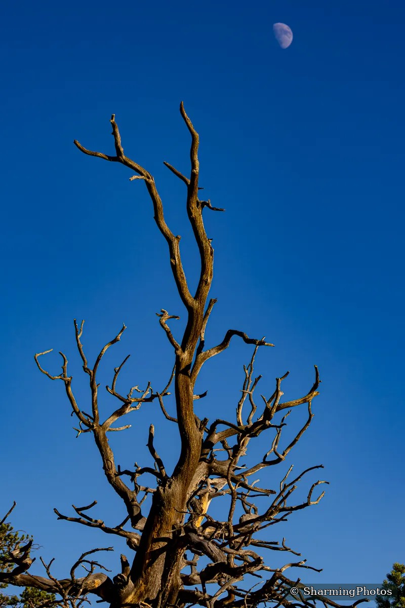 Scenery photograph by Susanne Harm