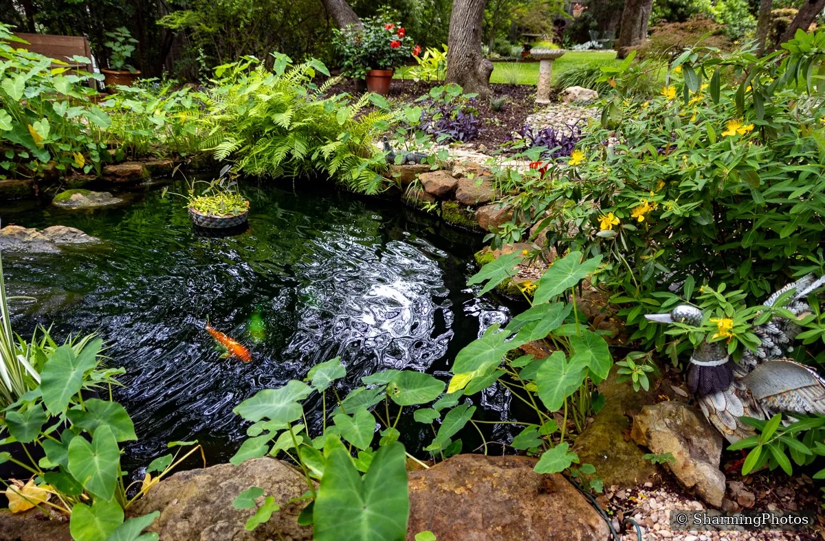 Scenery photograph by Susanne Harm