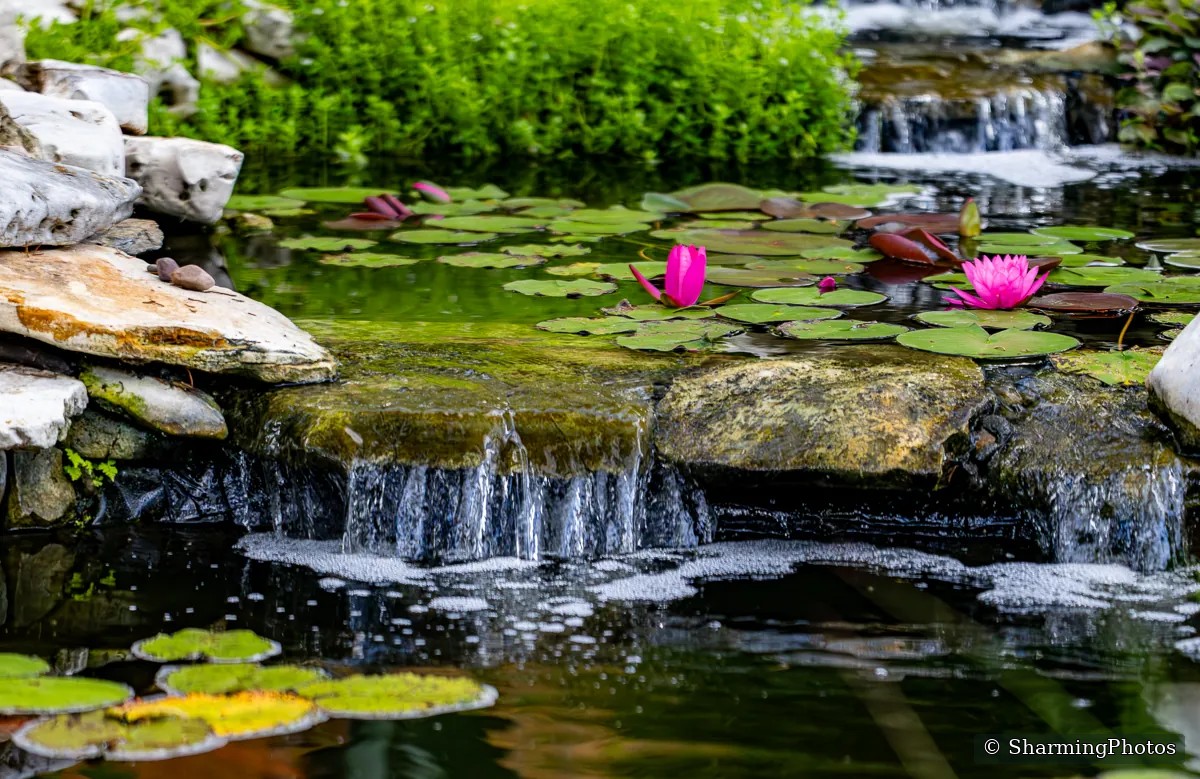 Scenery photograph by Susanne Harm