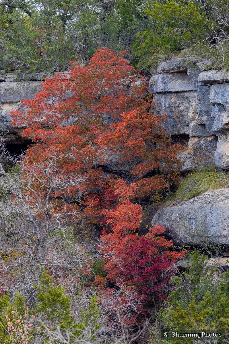 Scenery photograph by Susanne Harm