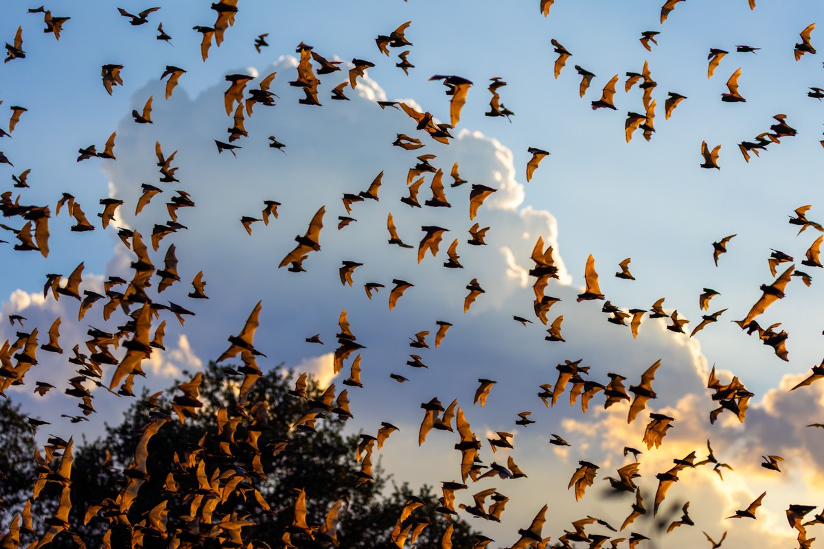 Wildlife photograph by Susanne Harm