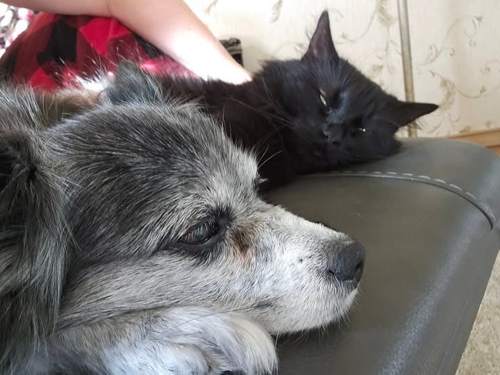 A treasured moment