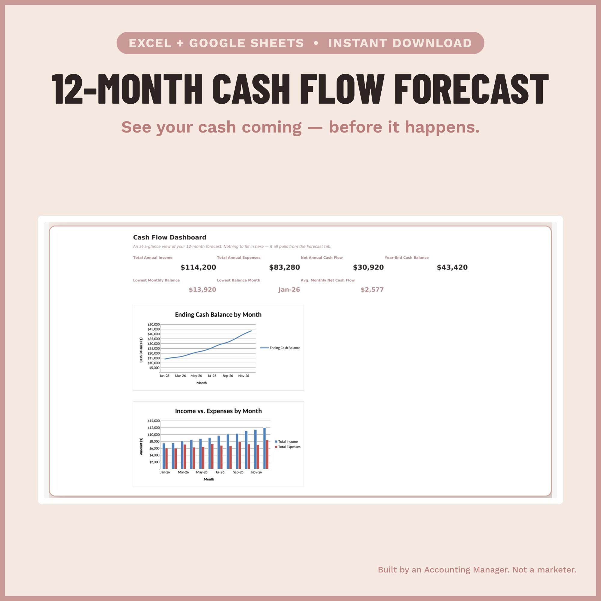 12-Month Cash Flow Forecast Template screenshot 1