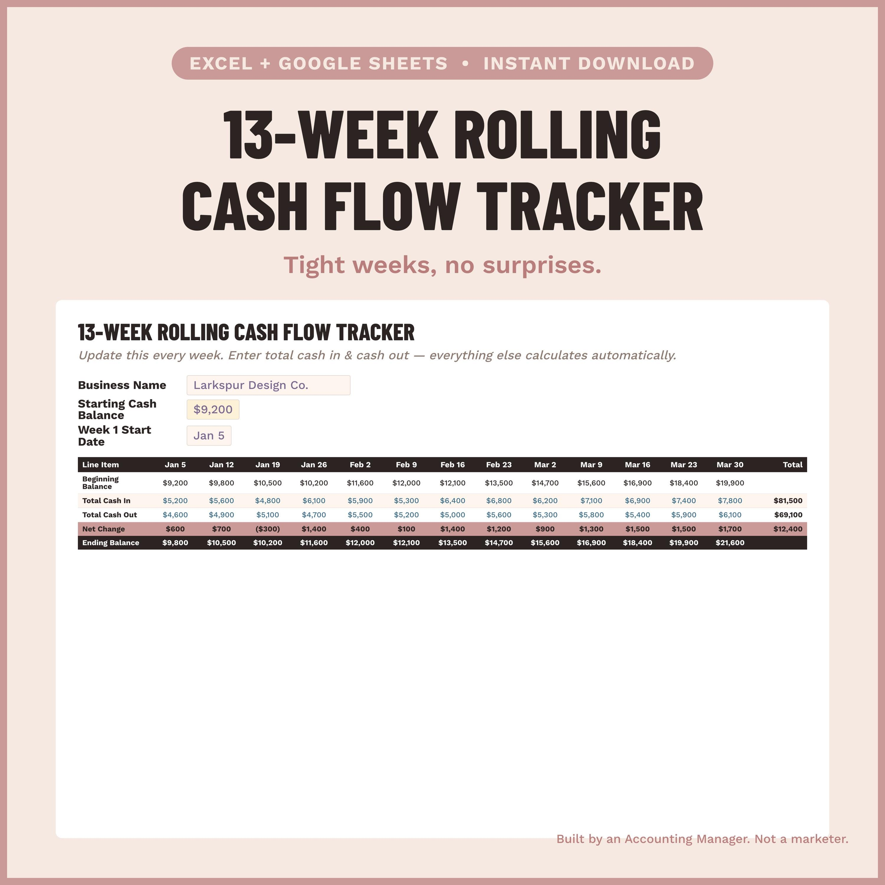 13-Week Cash Flow Tracker screenshot 1