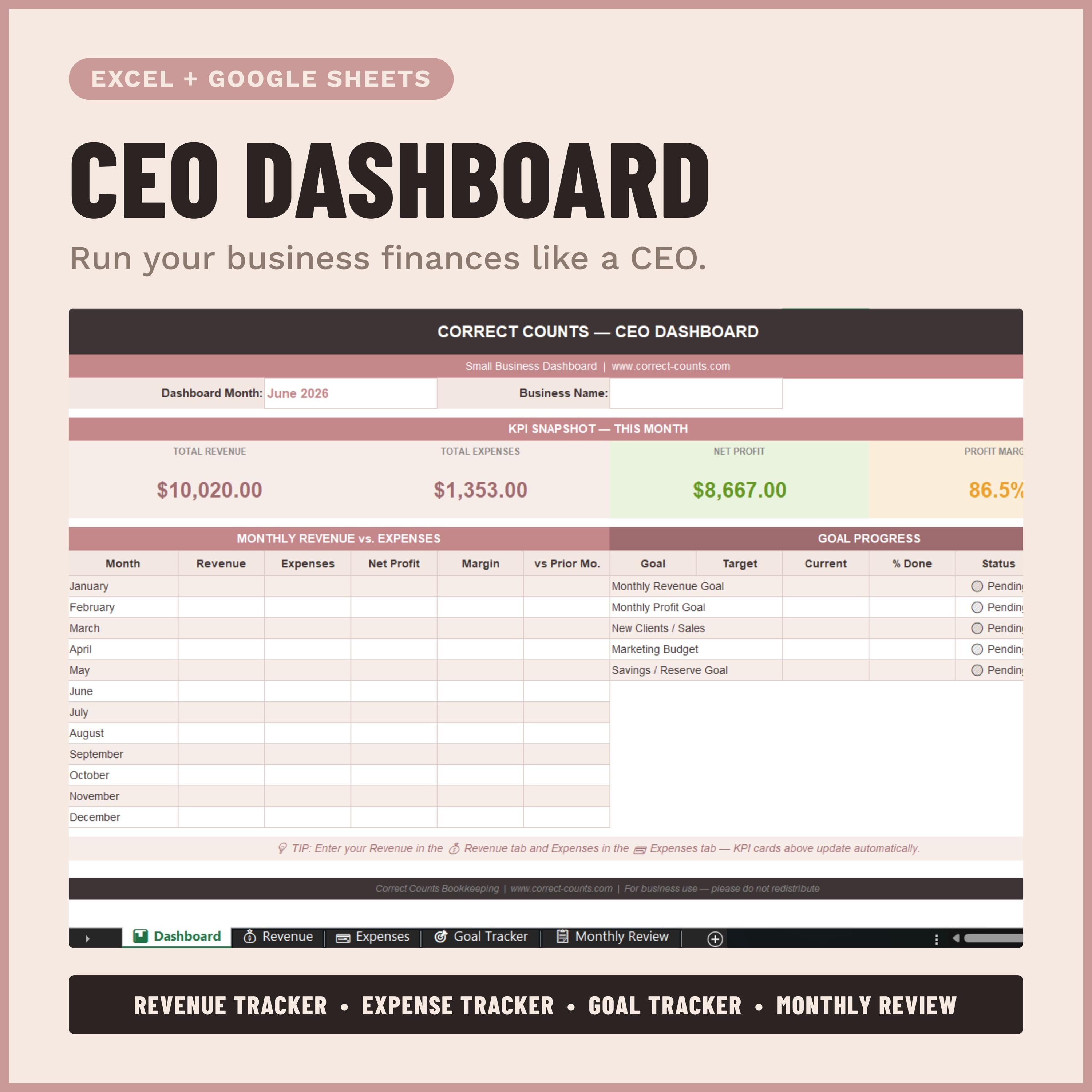 CEO Dashboard Spreadsheet screenshot 1