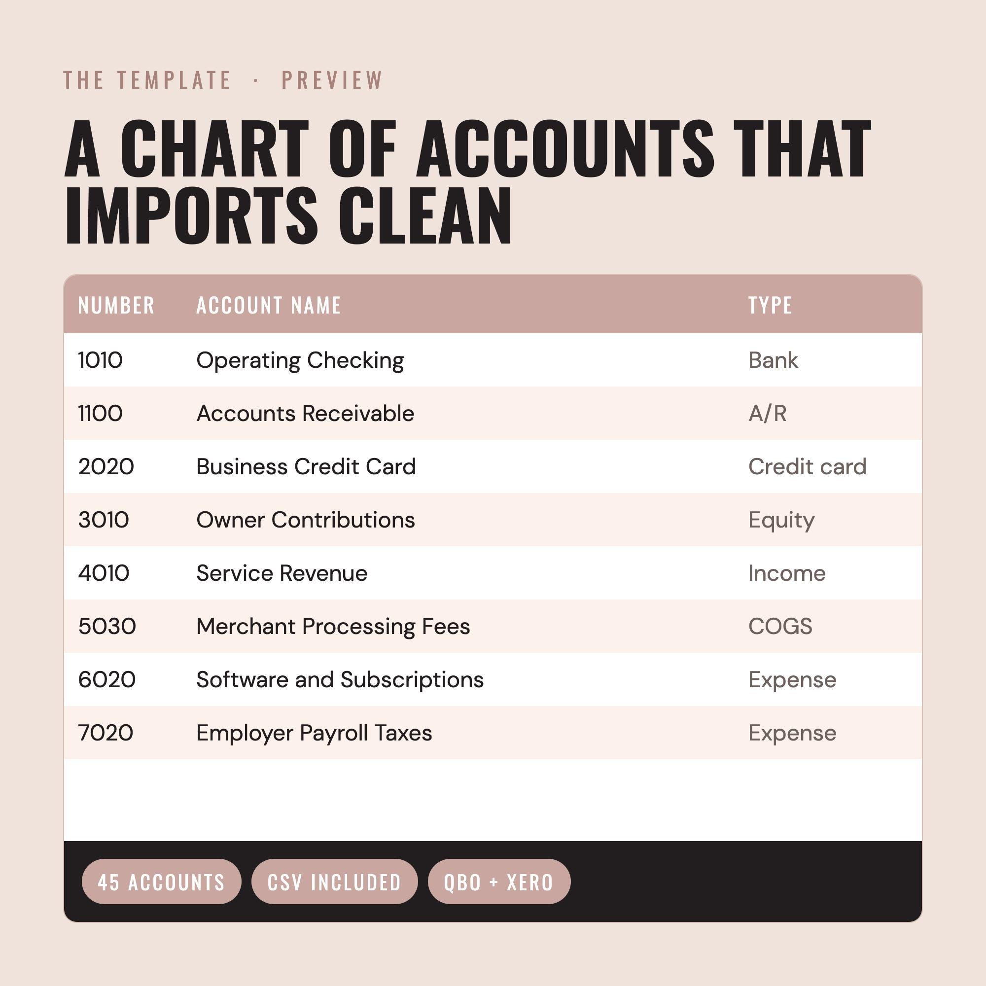 Chart of Accounts Template CSV + Import Guide screenshot 3