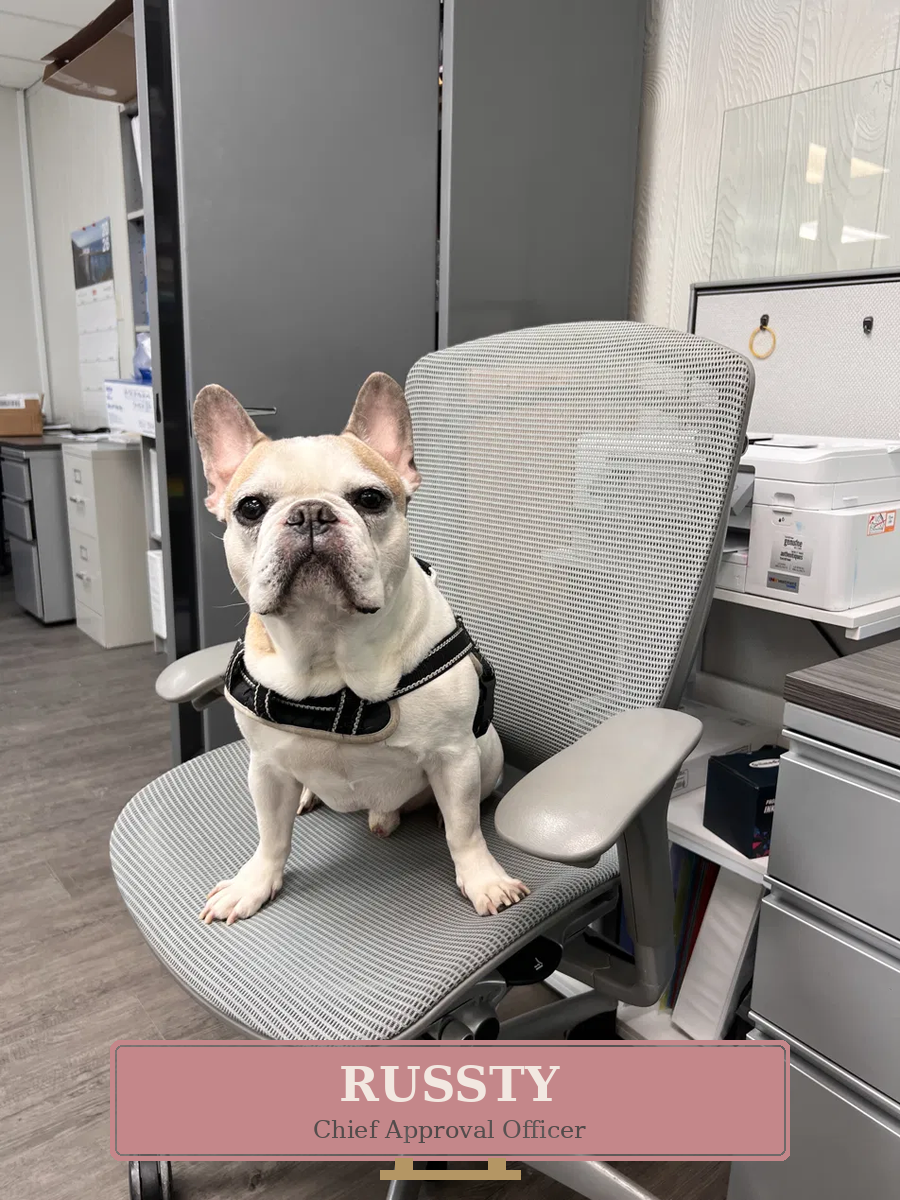 Russty, Correct Counts’ Chief Approval Officer, seated at an office desk