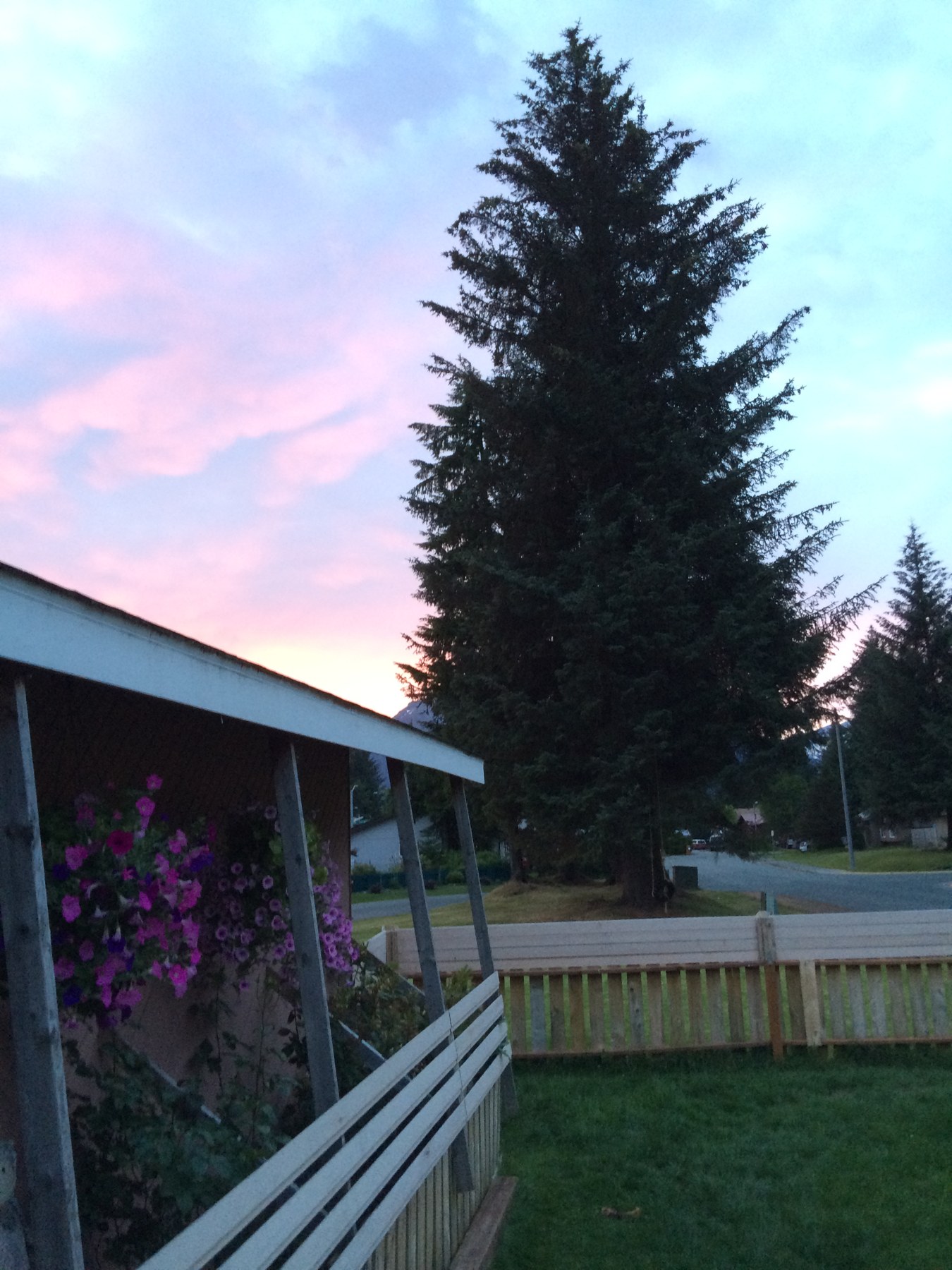 Fenced backyard and deck at sunset