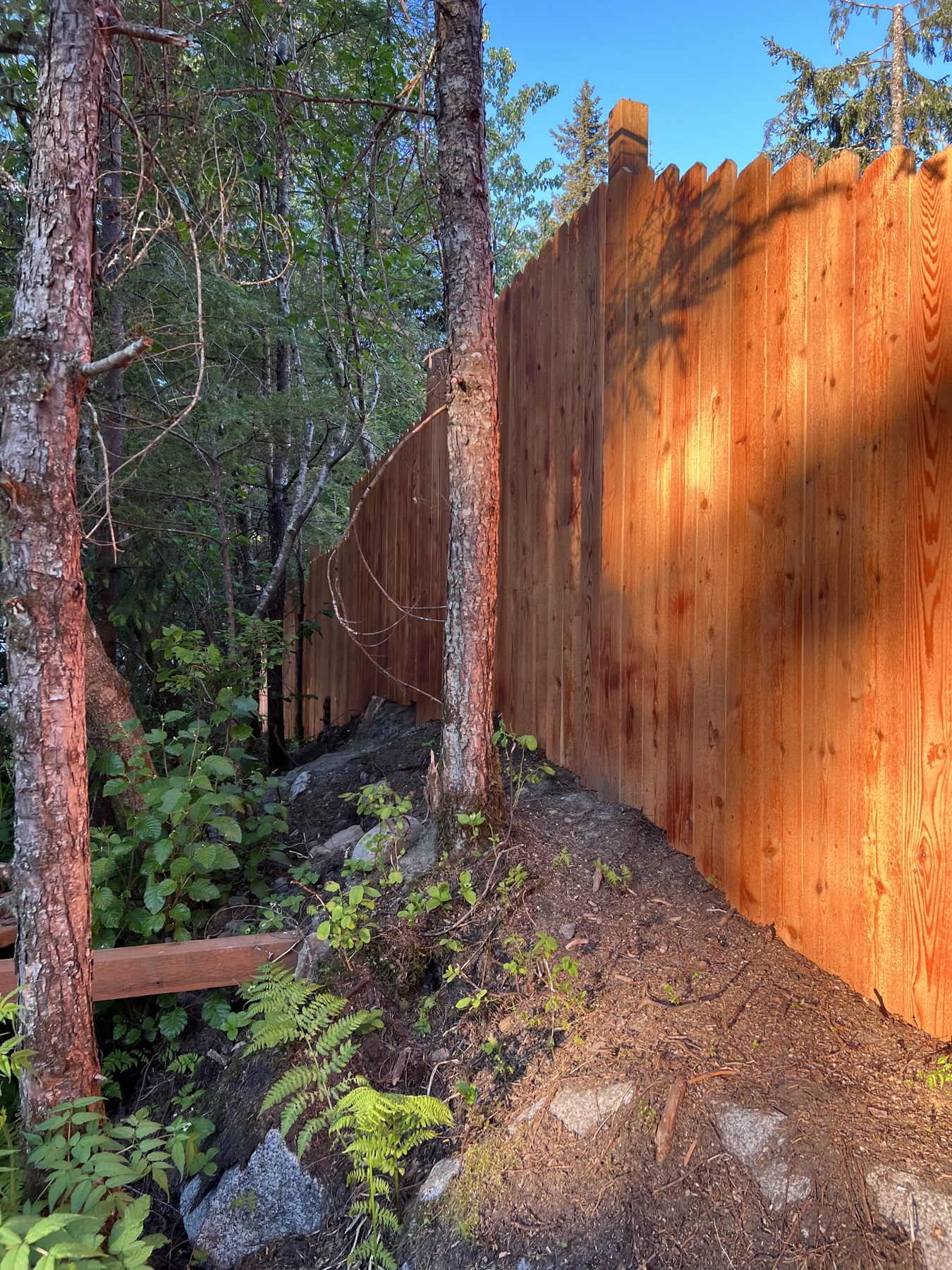 Wood privacy fence along a wooded property line