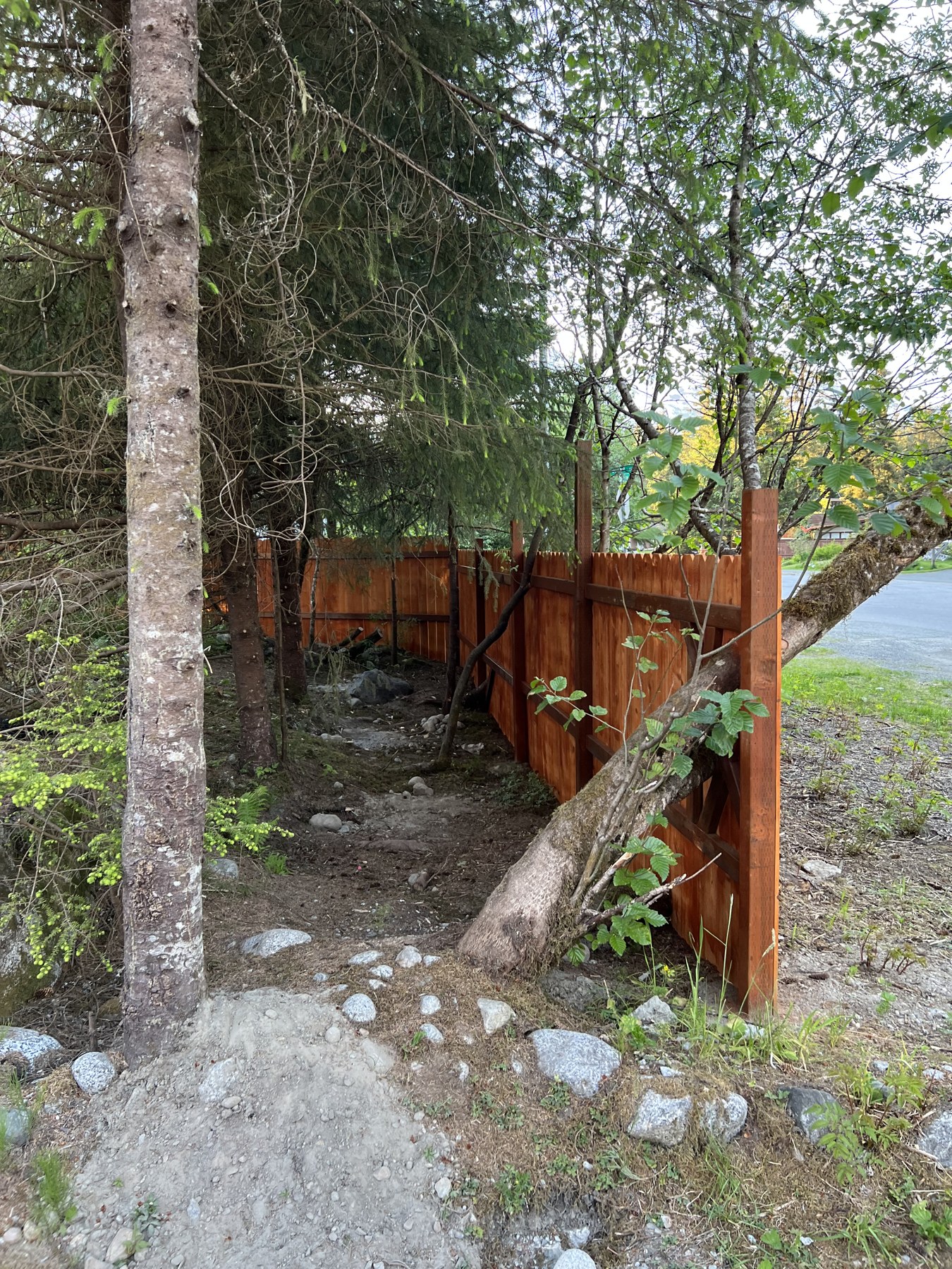 Wood fence following a sloped garden boundary