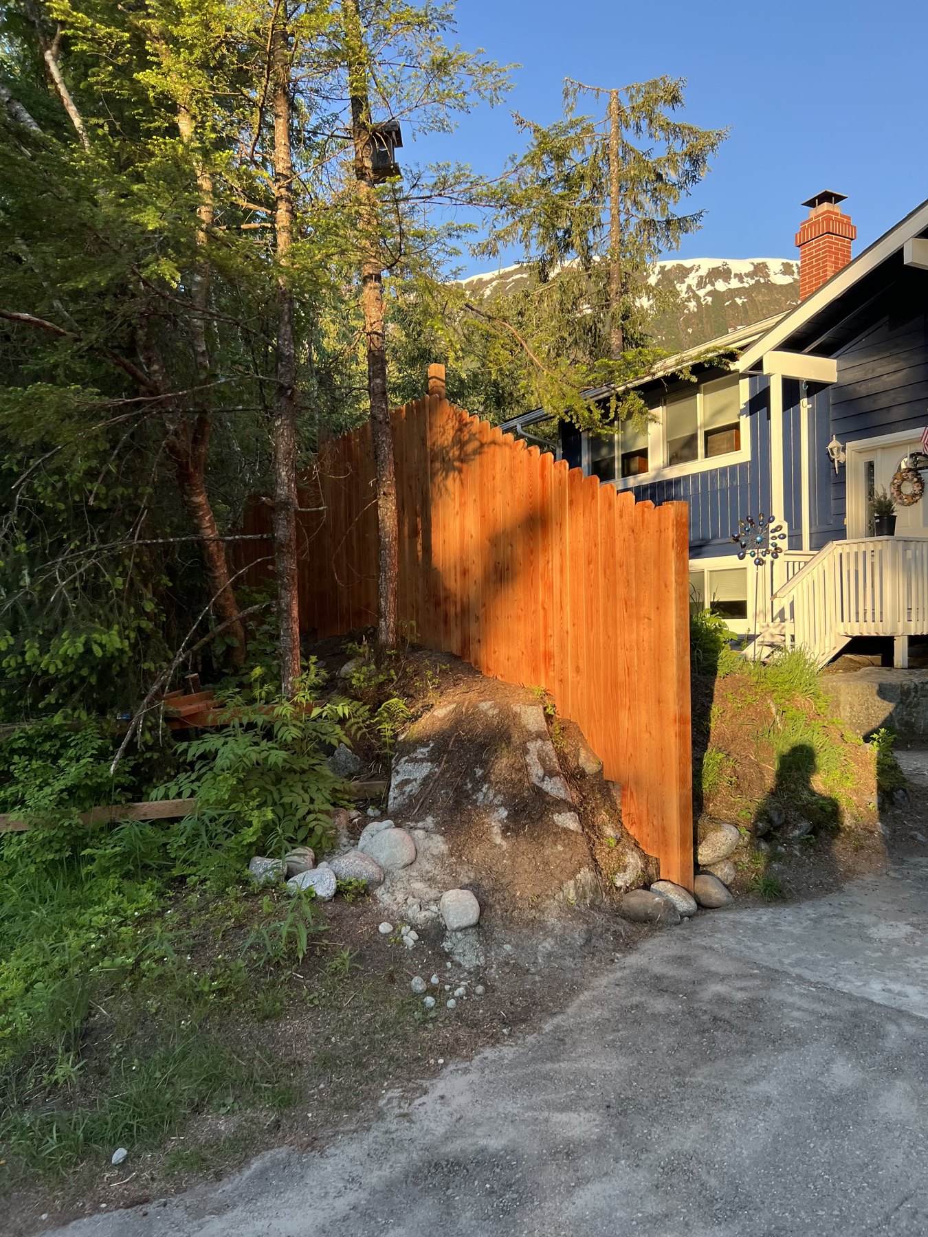 Wood privacy fence beside a wooded garden