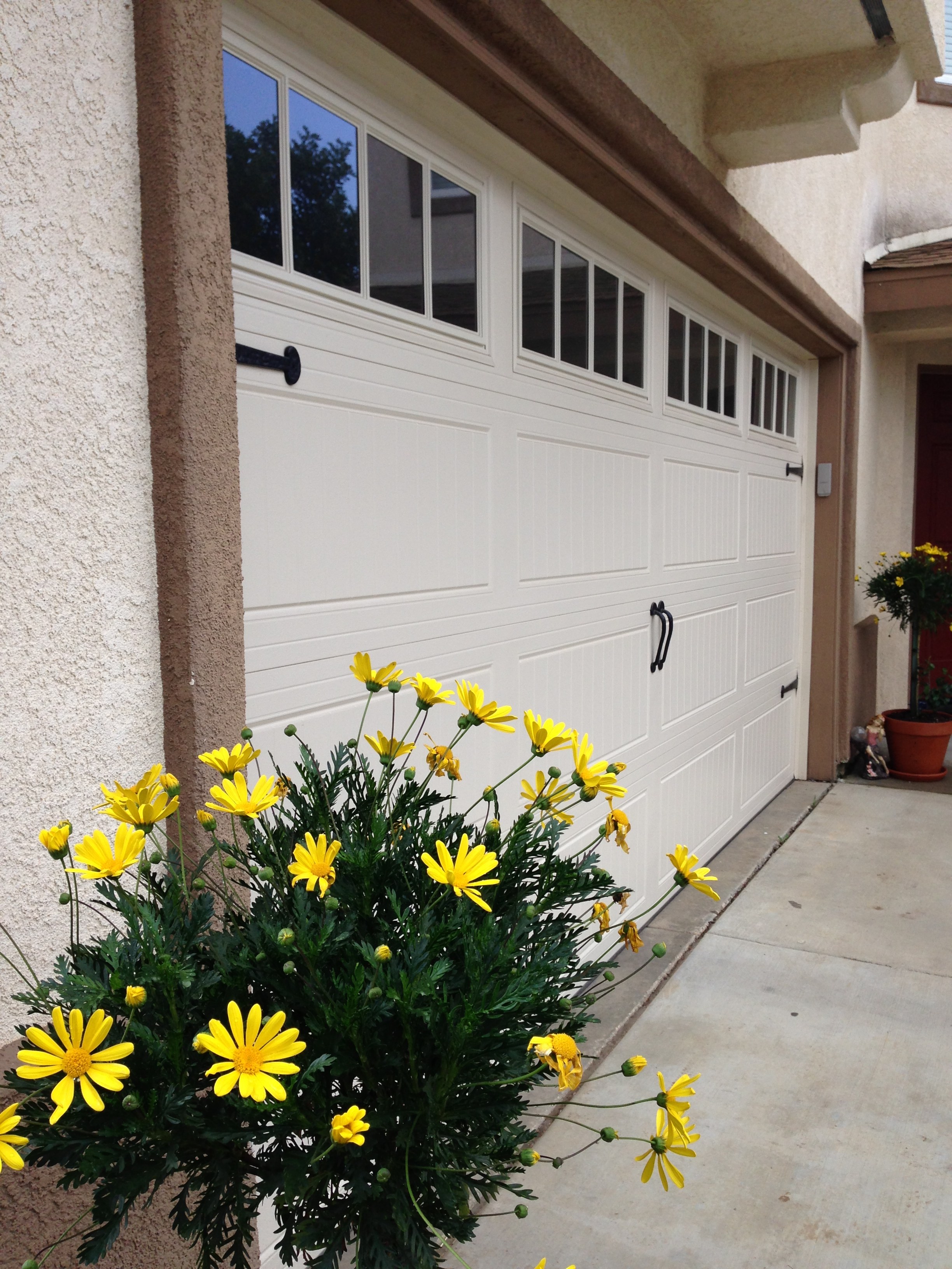 White sectional garage door
