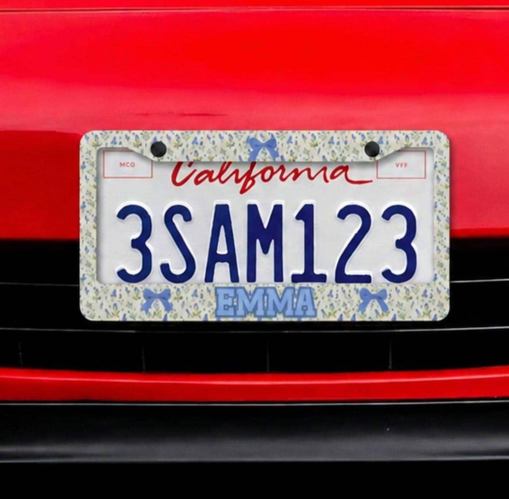 Texas Bluebonnet License Plate Frame, Texas License Plate Cover, Custom Texan Gift, Texan Gift Idea