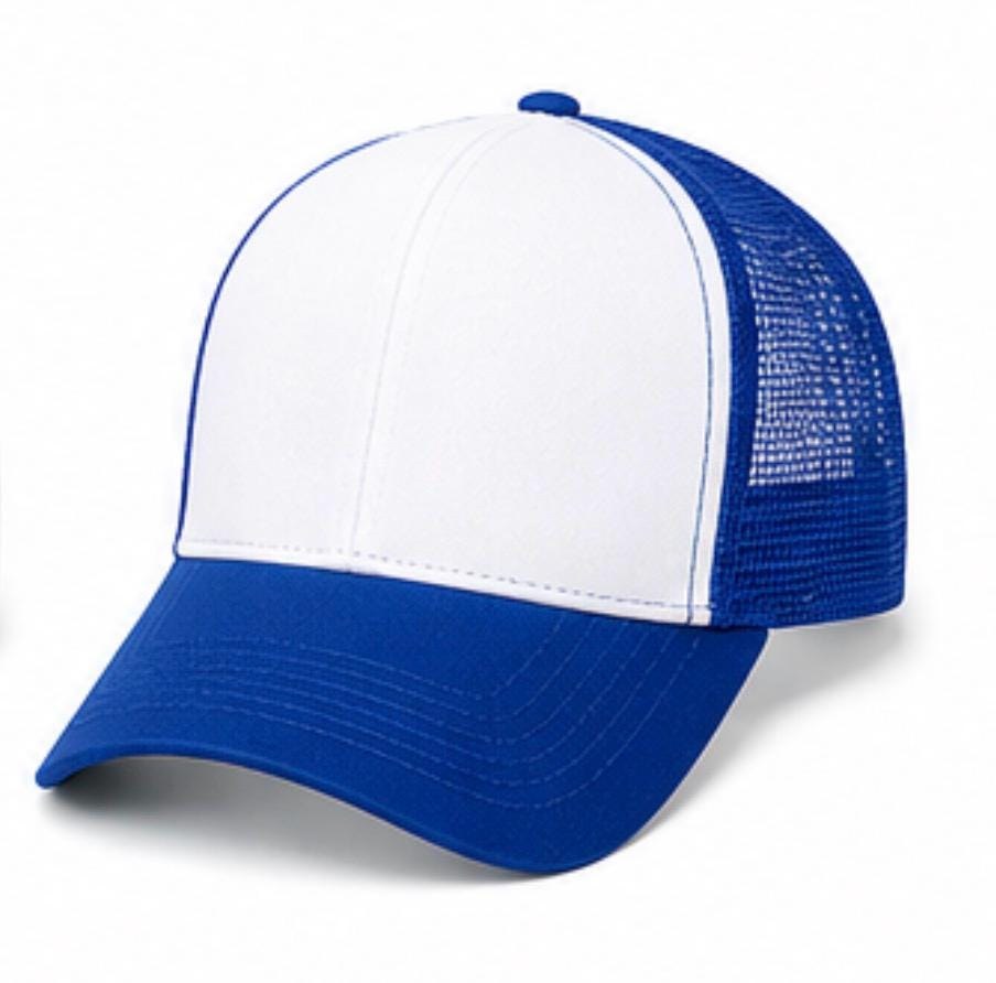Fort Worth Not Dallas Hat, Fort Worth Trucker Hat, Texas Girl Hat, Puff Vinyl Hat, Western Fashion Cap, Cowtown Hat, additional product photo