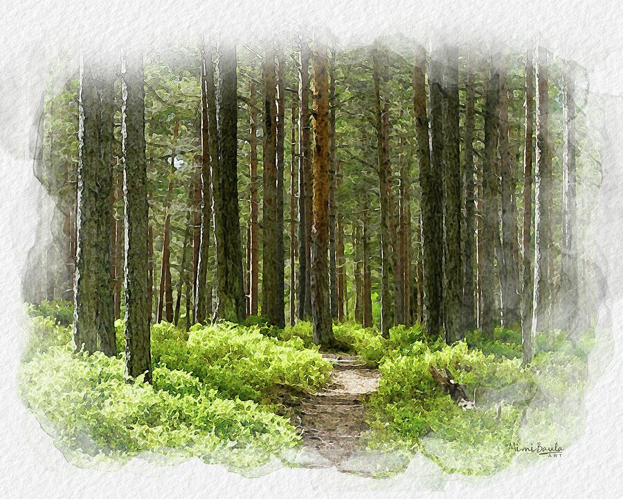 A Path to Stillness, a green forest path painting by Mimi Baula