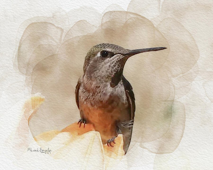 Hummingbird Quietude by Mimi Baula