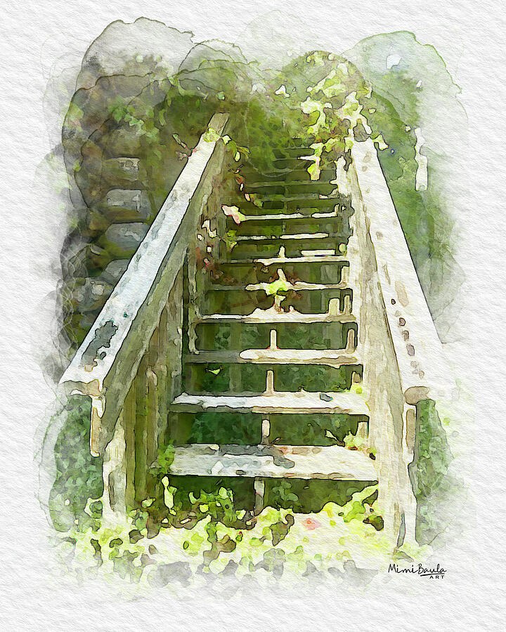 Overgrown Ascent by Mimi Baula