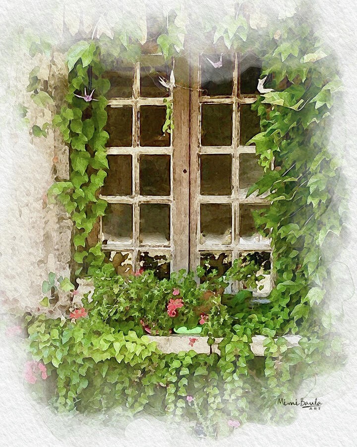 The Garden That Stayed by Mimi Baula