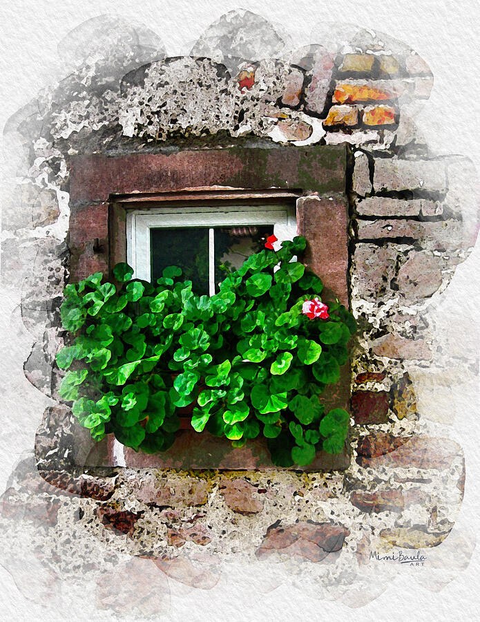 Where the Wall Softens by Mimi Baula