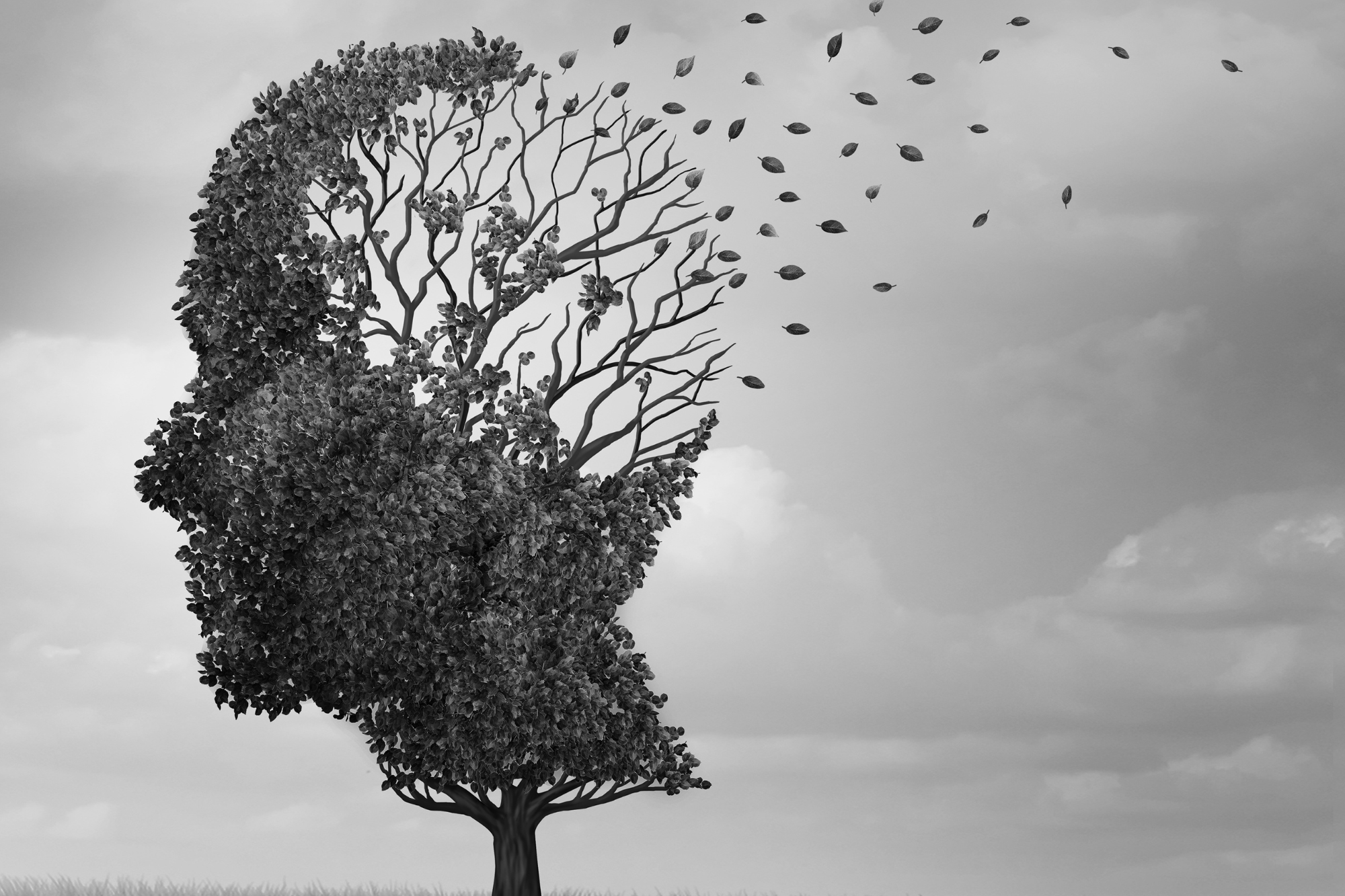 What is Mild Cognitive Impairment (MCI): Understanding the Transition Between Aging and Cognitive Decline