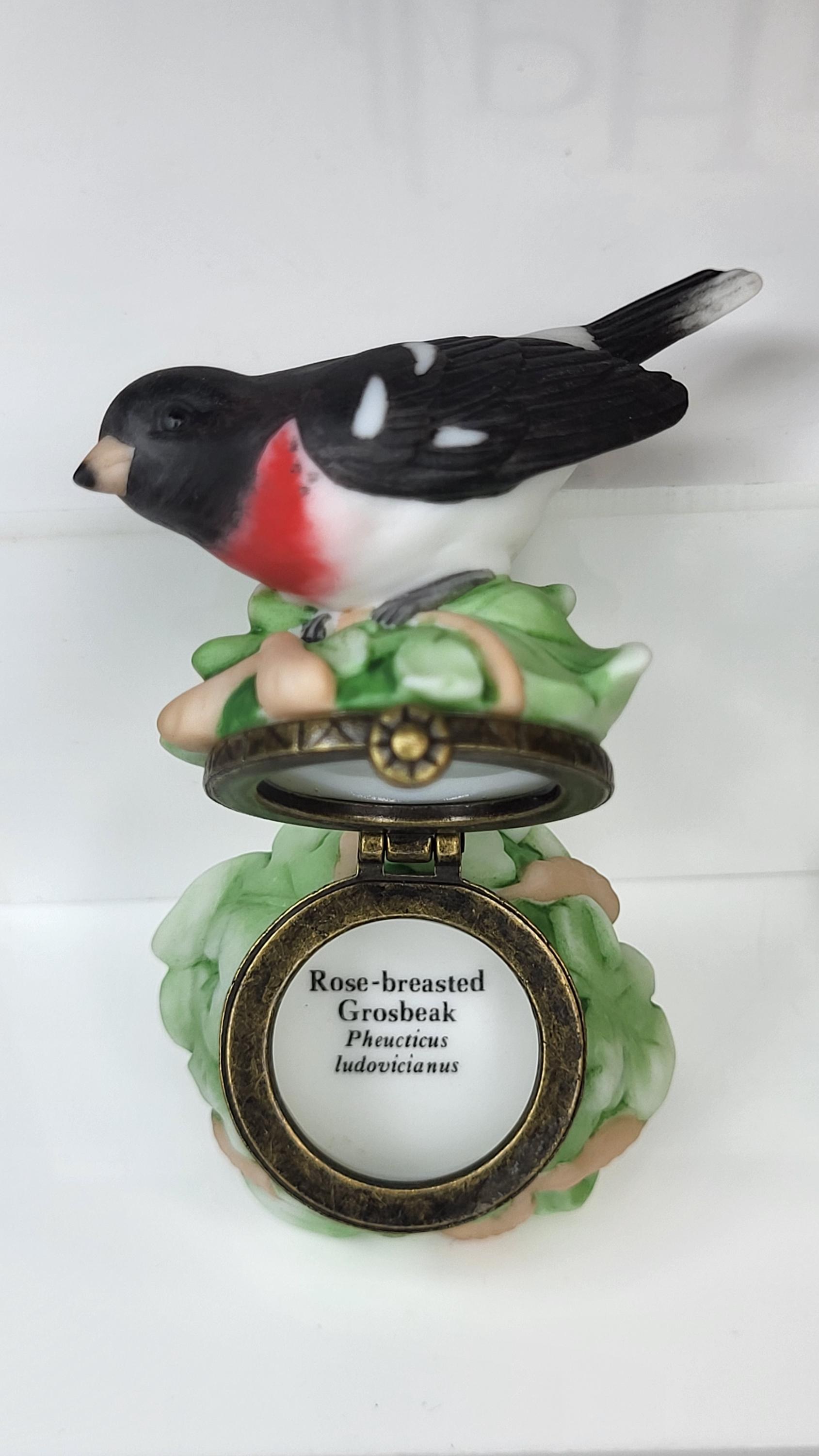 Songbird Series Porcelain Hinged Boxes - Redheaded Woodpecker & Grosbeak view 10