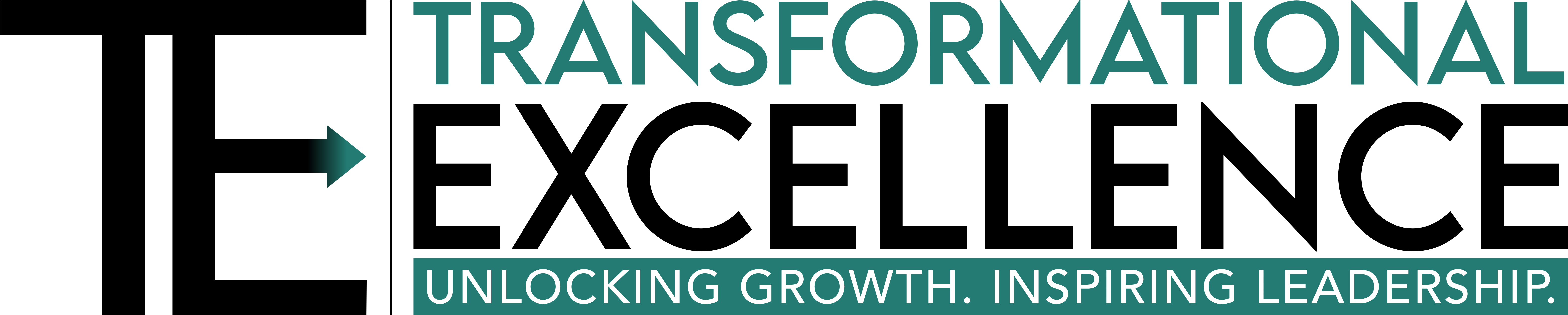 Transformational Excellence LLC
