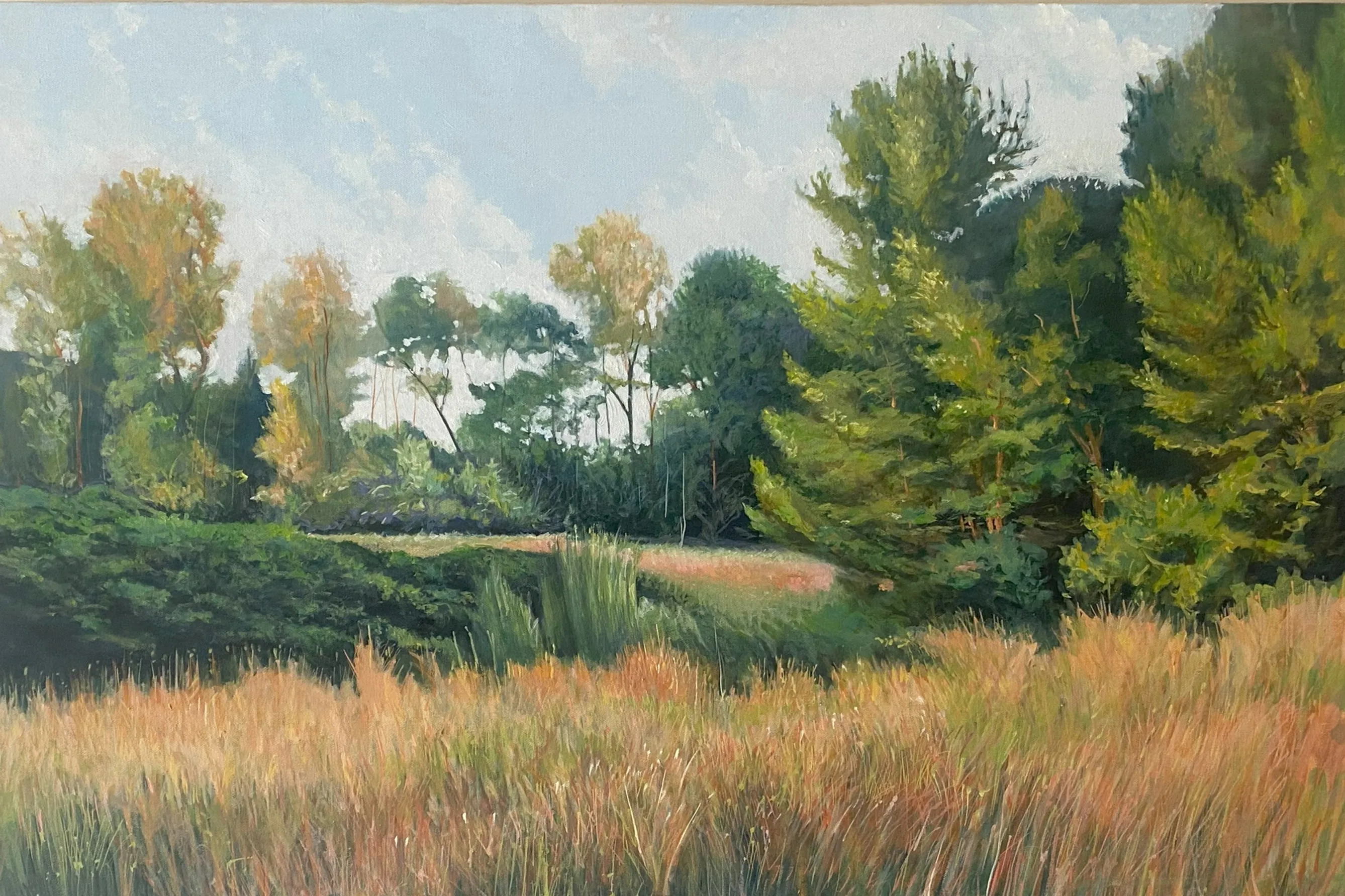 A Meadow in the Woods by Douglas H. Caves Sr.