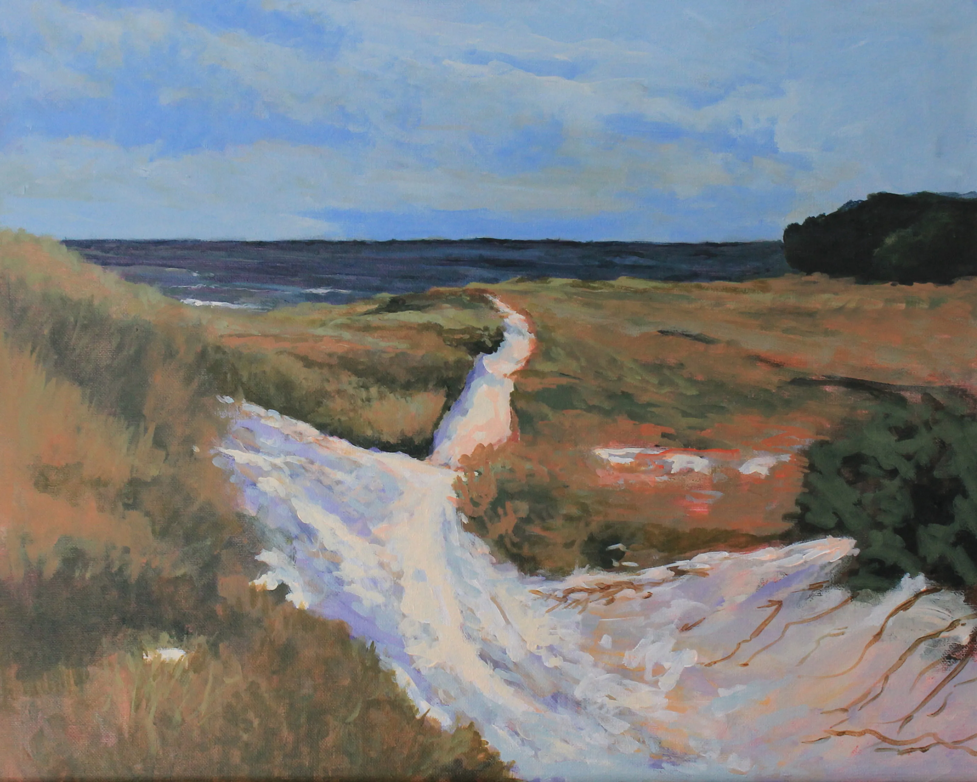 Dunes I by Douglas H. Caves Sr.