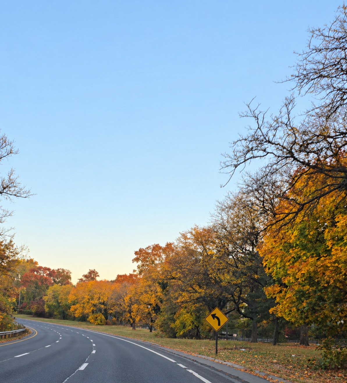 Curving road through autumn trees