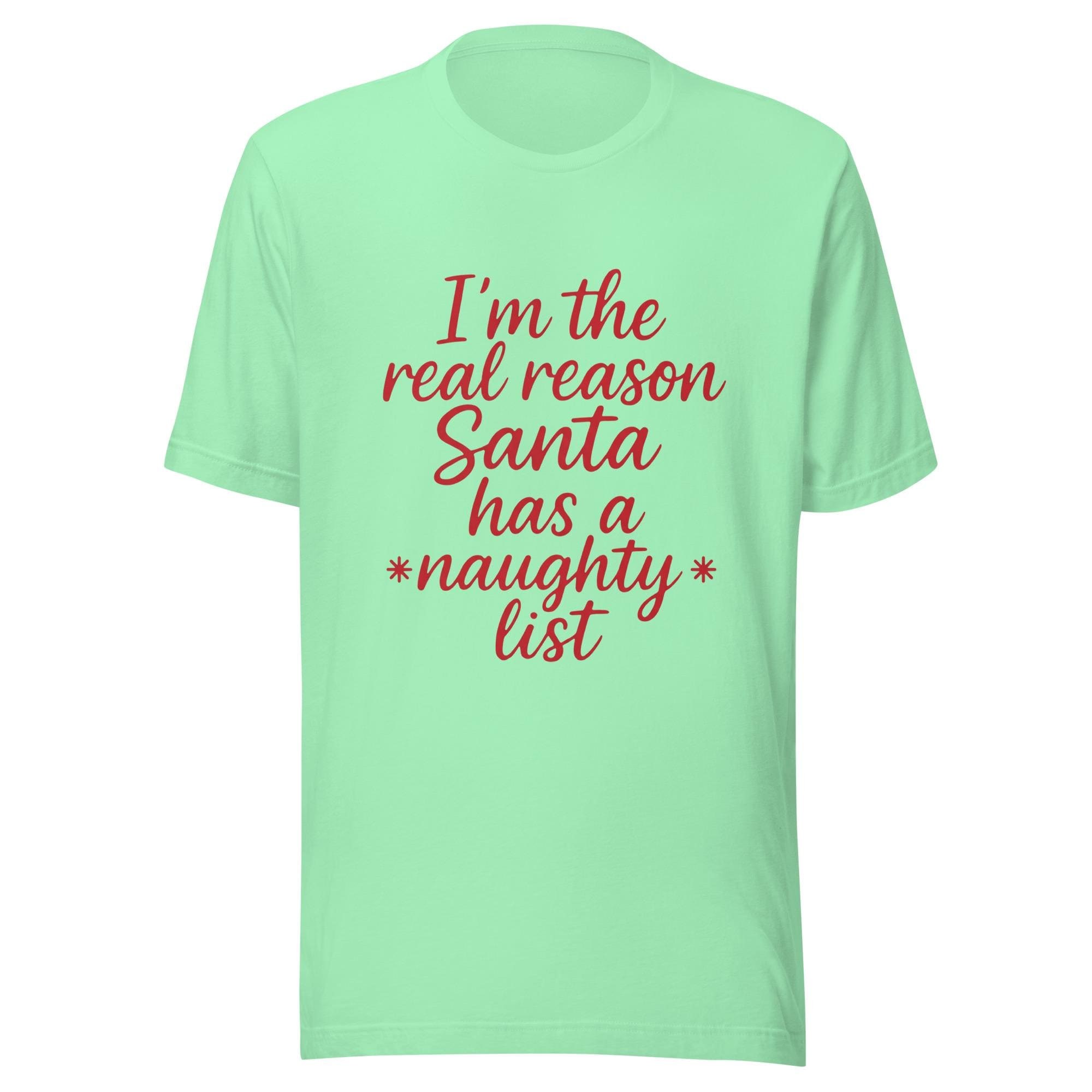 Naughty List Shirt, 100% Cotton Unisex Christmas Tee, image 6