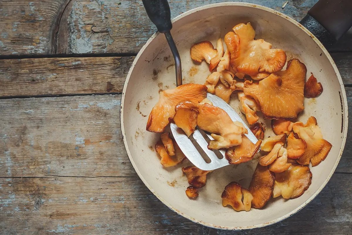 Pink oyster mushrooms cooking in a skillet