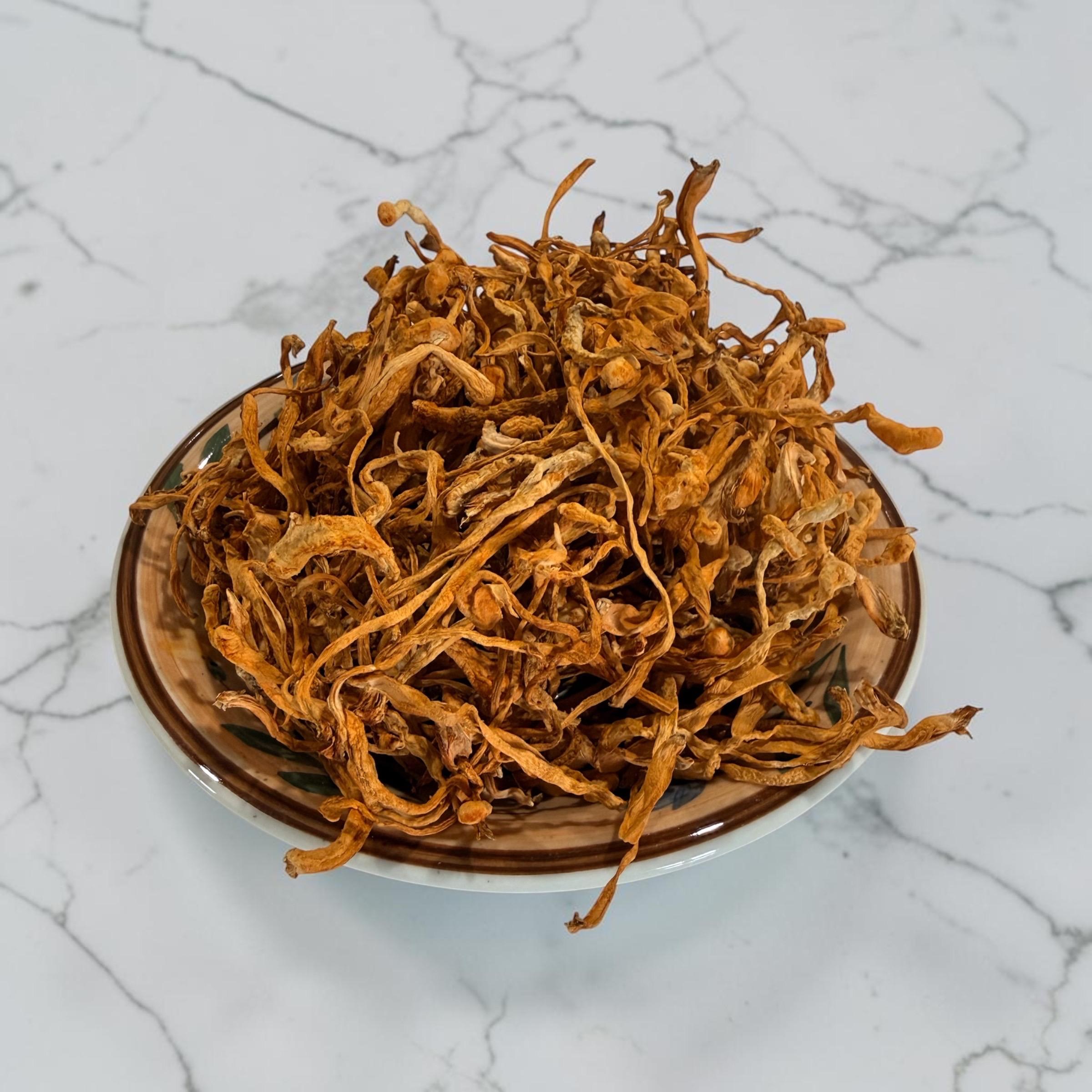 Cordyceps Militaris Mushroom Tincture, product view 4