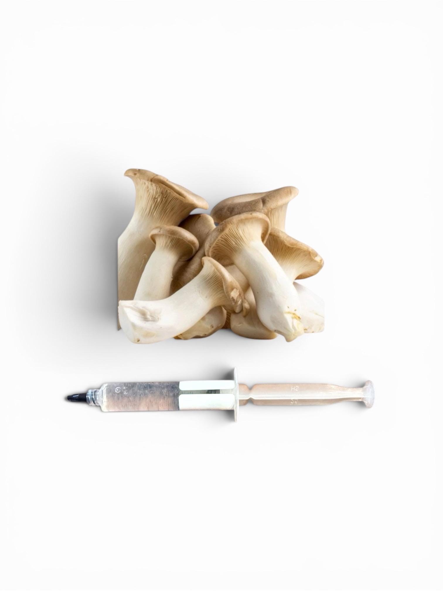 Gourmet Medicinal Mushroom Liquid Culture Syringe (Hericium/Pleurotus and more), product view 11