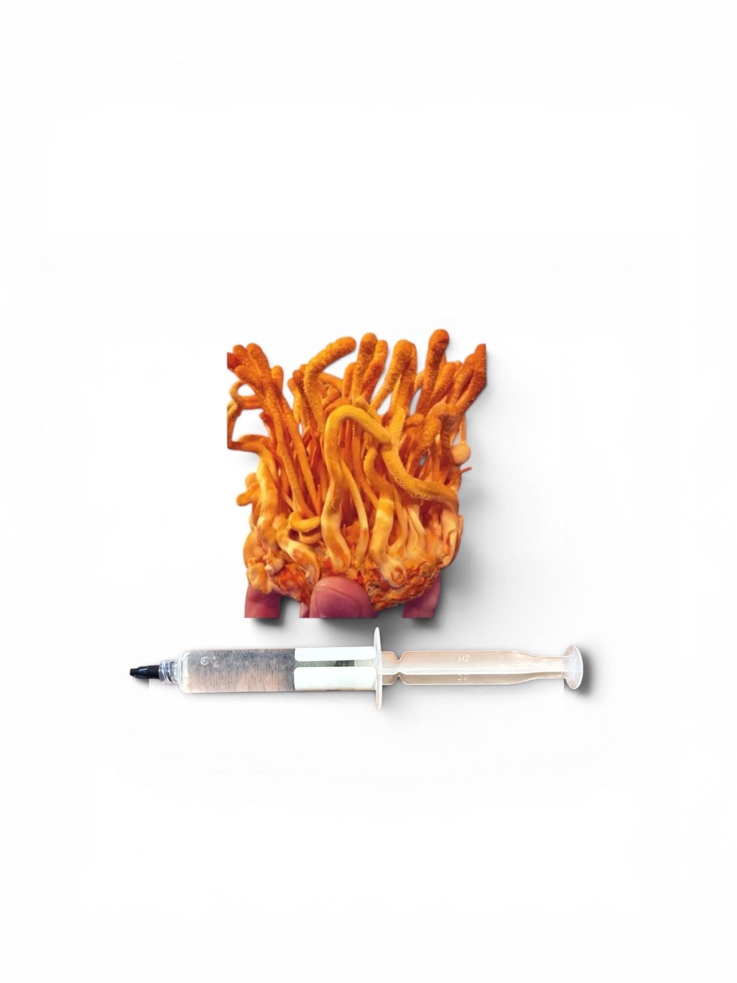 Gourmet Medicinal Mushroom Liquid Culture Syringe (Hericium/Pleurotus and more), product view 5