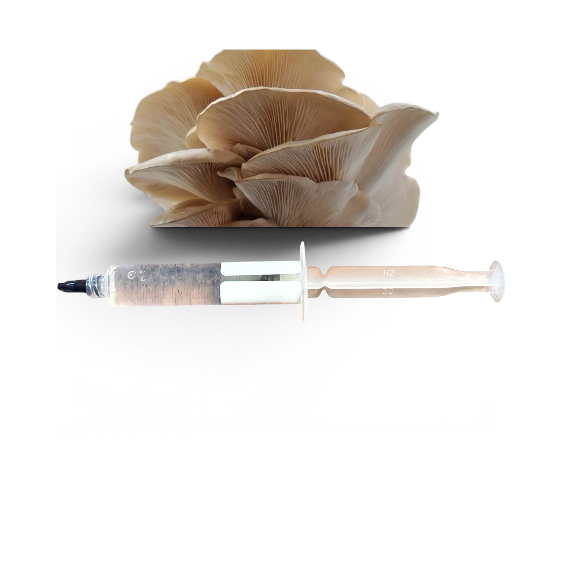 Gourmet Medicinal Mushroom Liquid Culture Syringe (Hericium/Pleurotus and more), product view 8