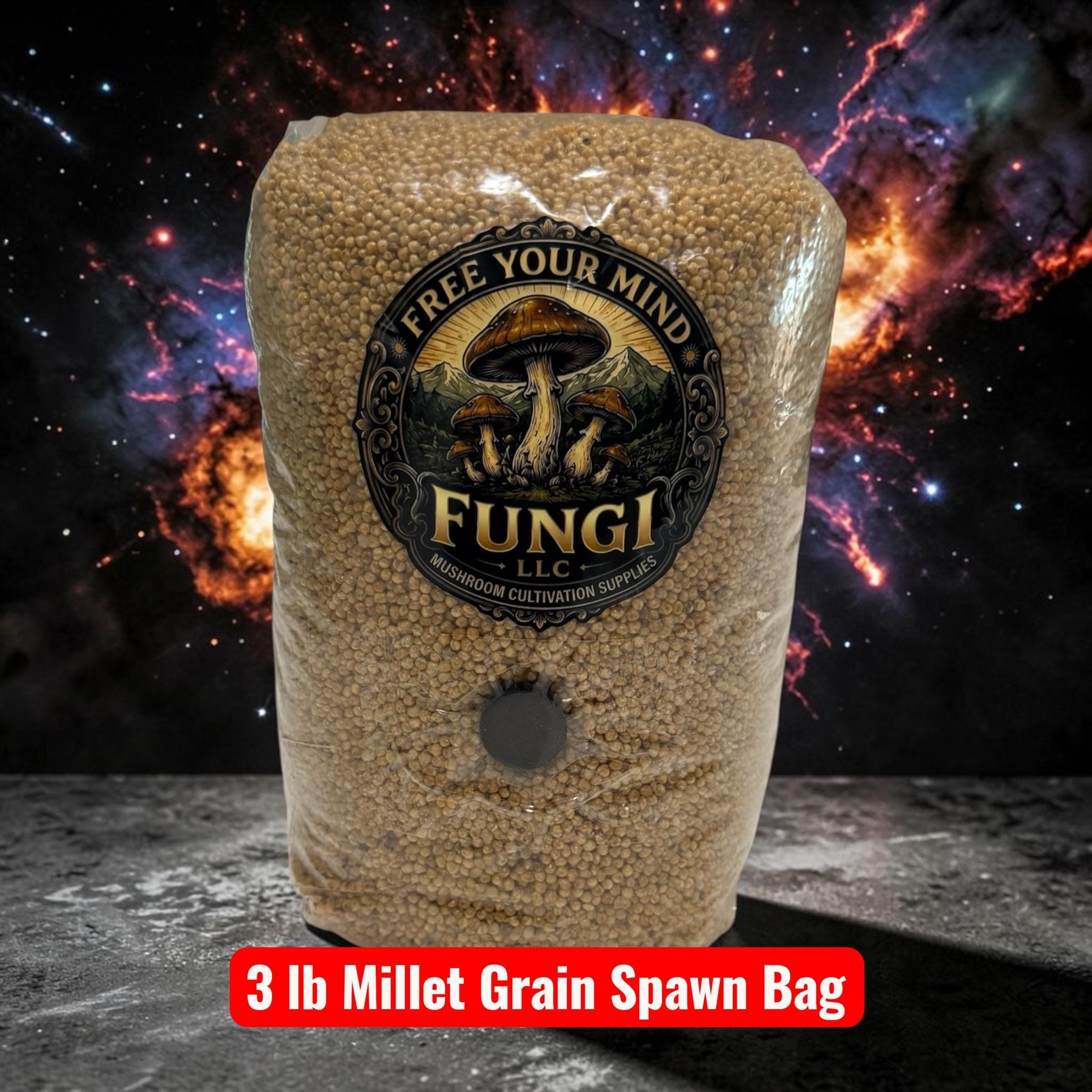 Millet Grain Spawn Bags