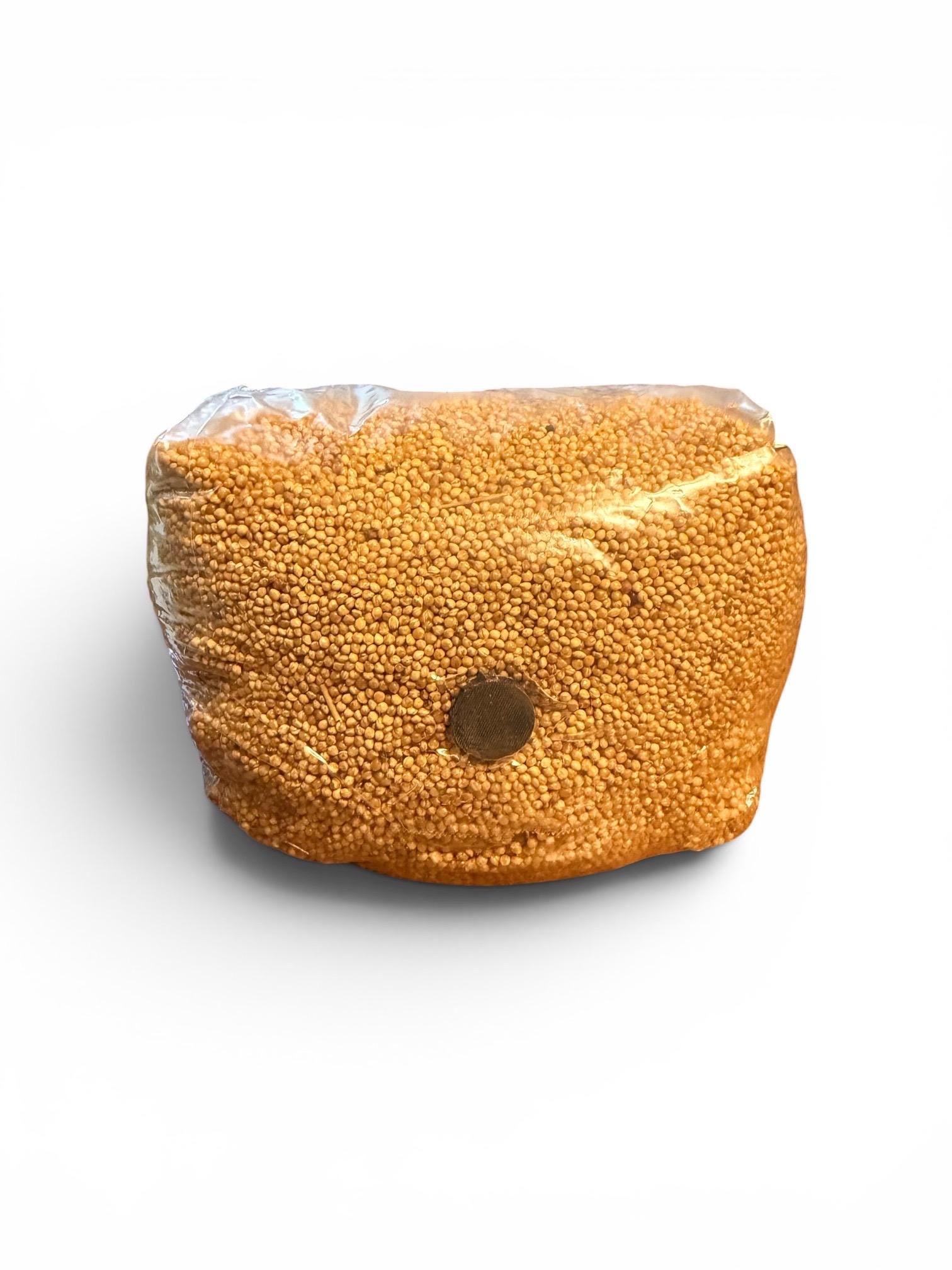 Millet Grain Spawn Bags, product view 3