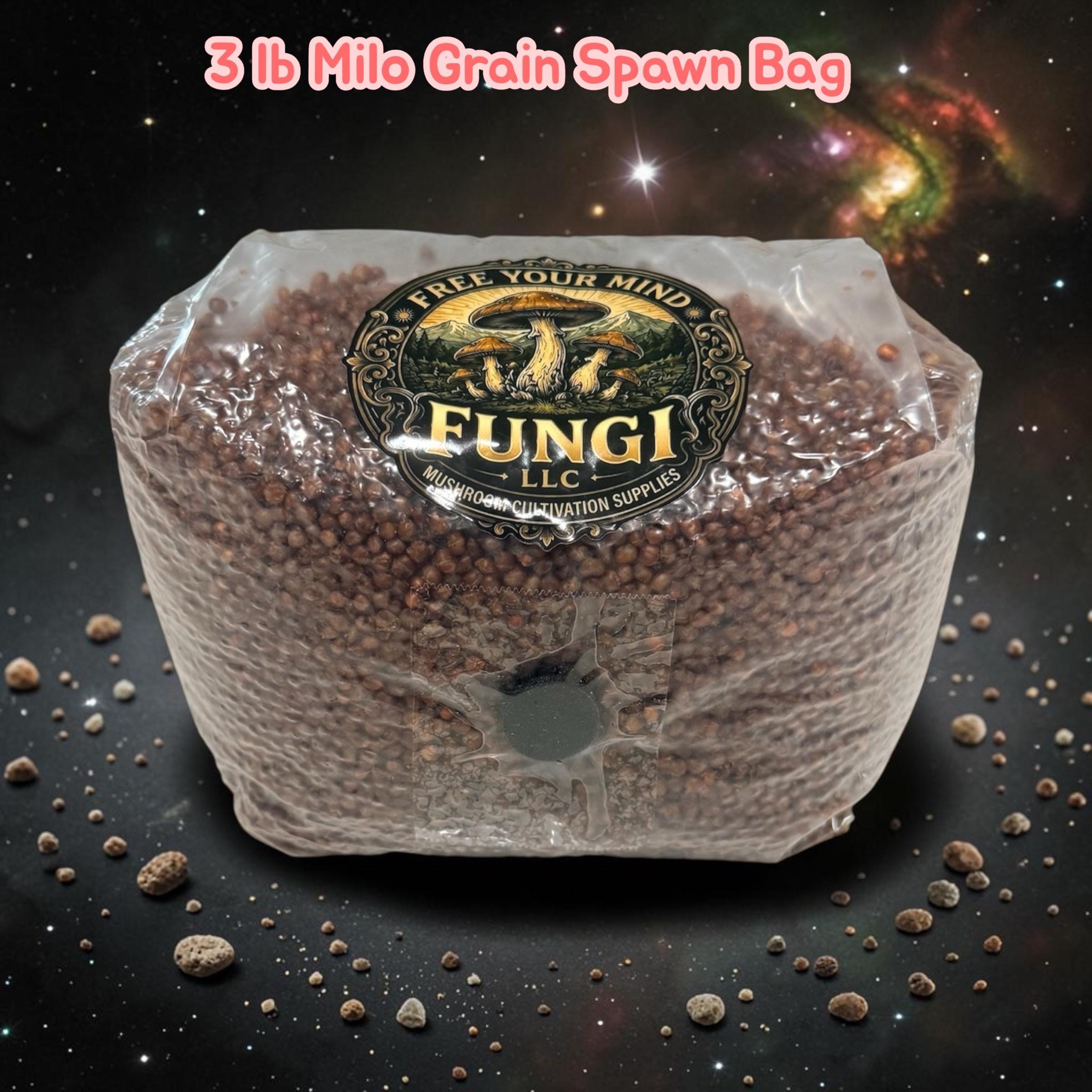 Milo Grain Spawn Bags