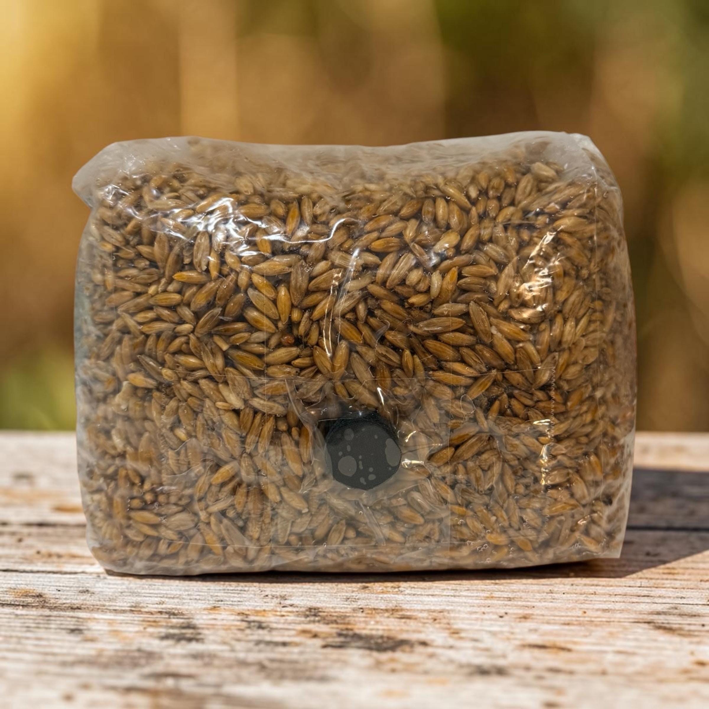 Organic whole oat grain spawn bag