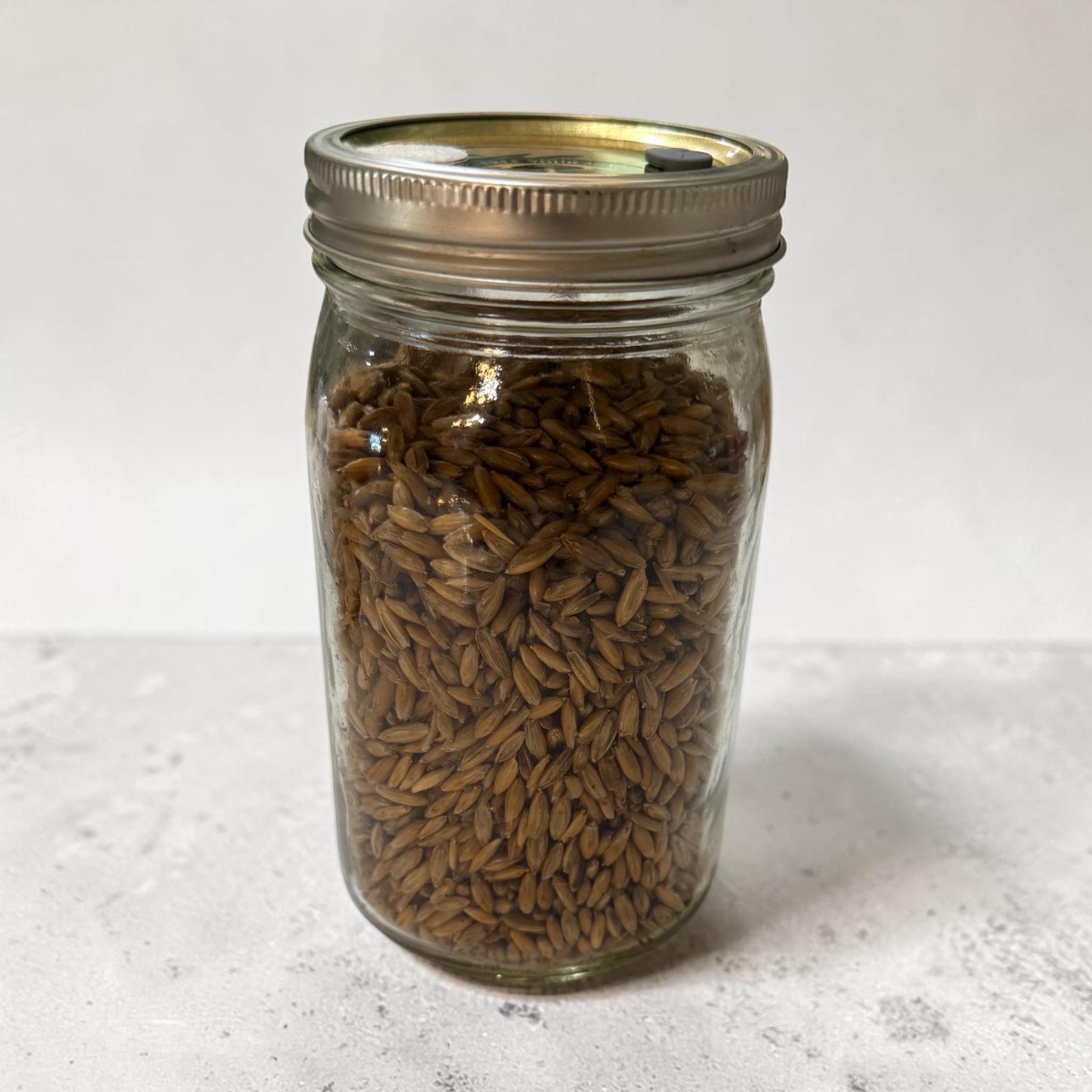 Organic Whole Oat Grain Spawn, product view 2