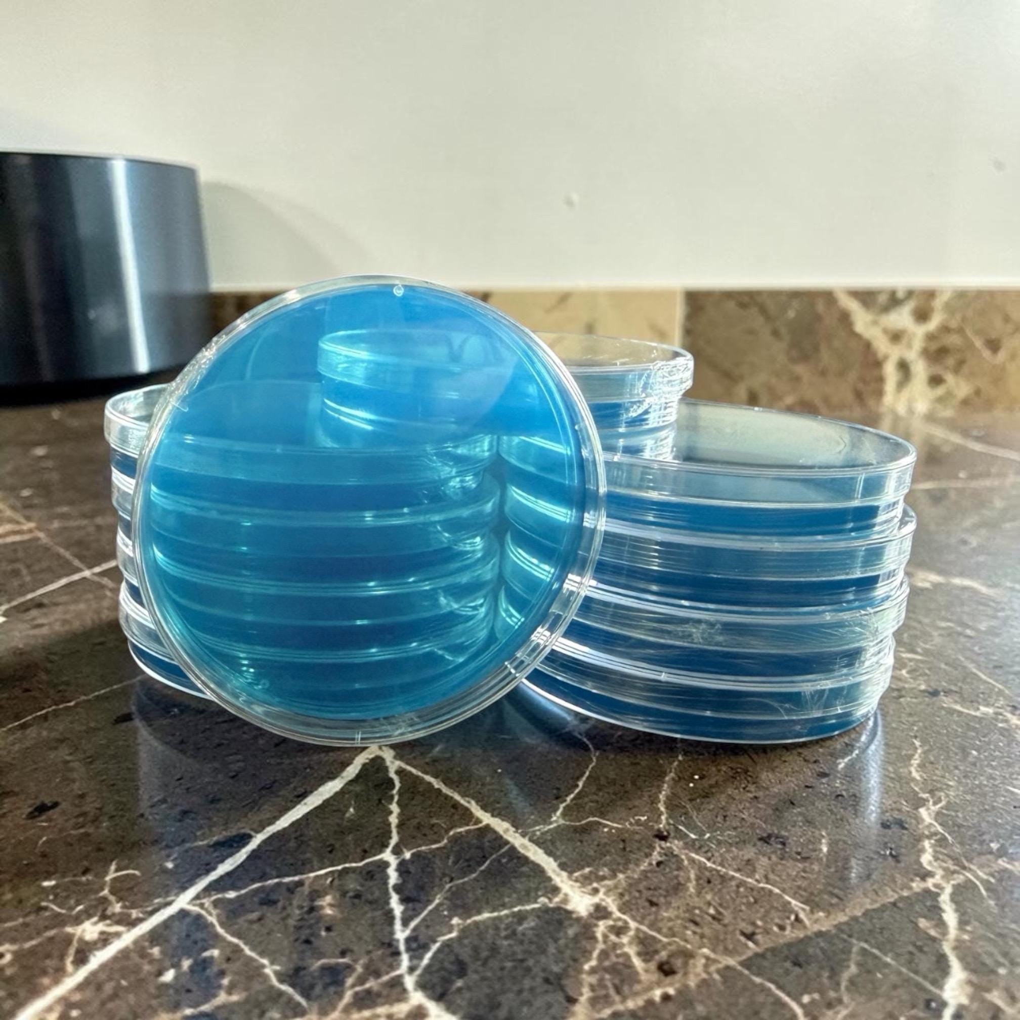 Pre-Poured Agar Petri Dishes 90mm (Activated Charcoal, PDA, MEA, and Low-Nutrient Varieties), product view 10