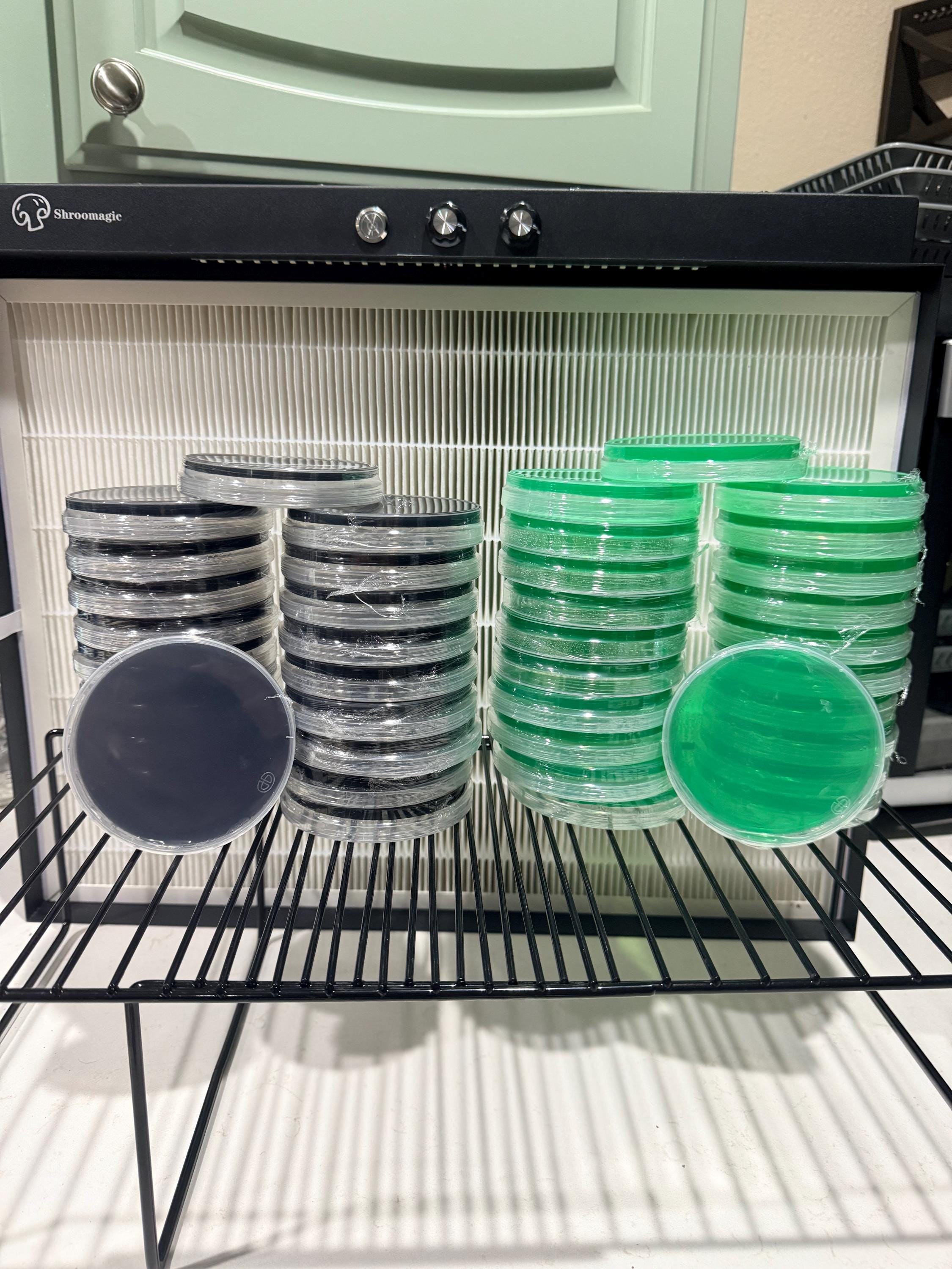 Pre-Poured Agar Petri Dishes 90mm (Activated Charcoal, PDA, MEA, and Low-Nutrient Varieties), product view 3