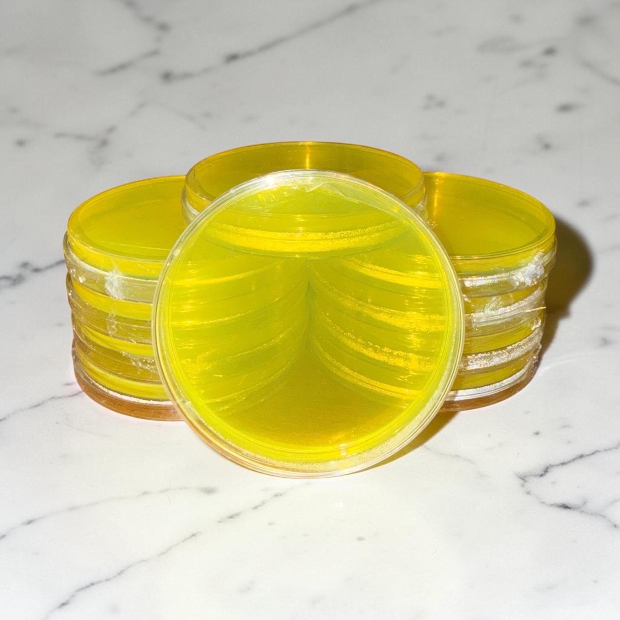 Pre-Poured Agar Petri Dishes 90mm (Activated Charcoal, PDA, MEA, and Low-Nutrient Varieties), product view 8